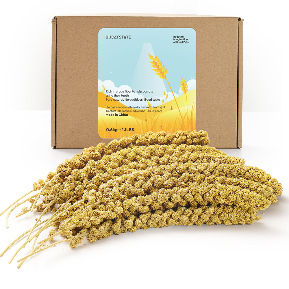 BUCATSTATE spray millet bag shows natural packaging for storage.