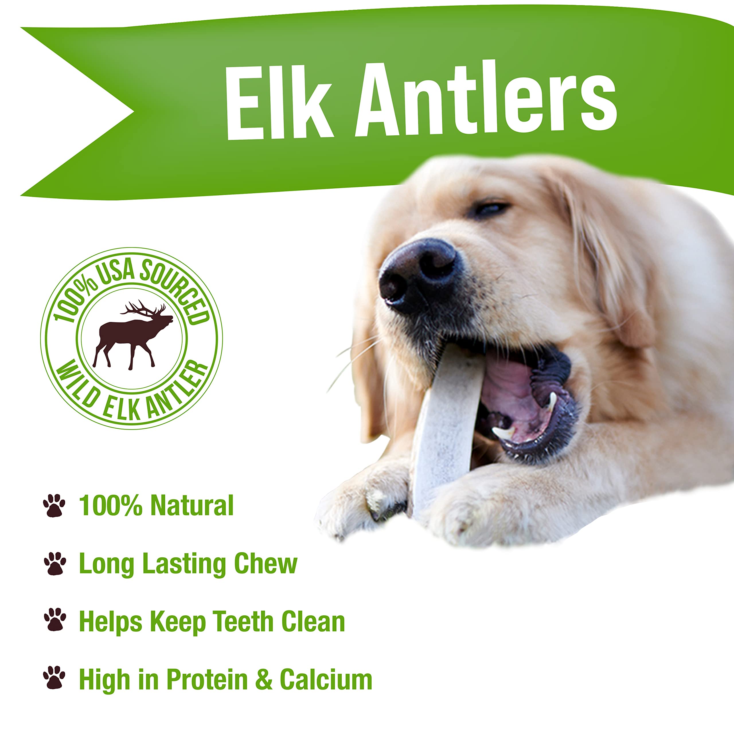 Buck Bone Organics elk antler closeup texture showing natural surface for dental care
