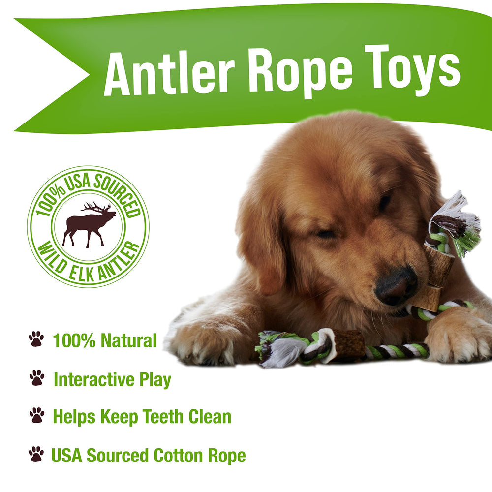 Buck Bone Organics elk antler rope chew toy close-up texture highlighting durable materials