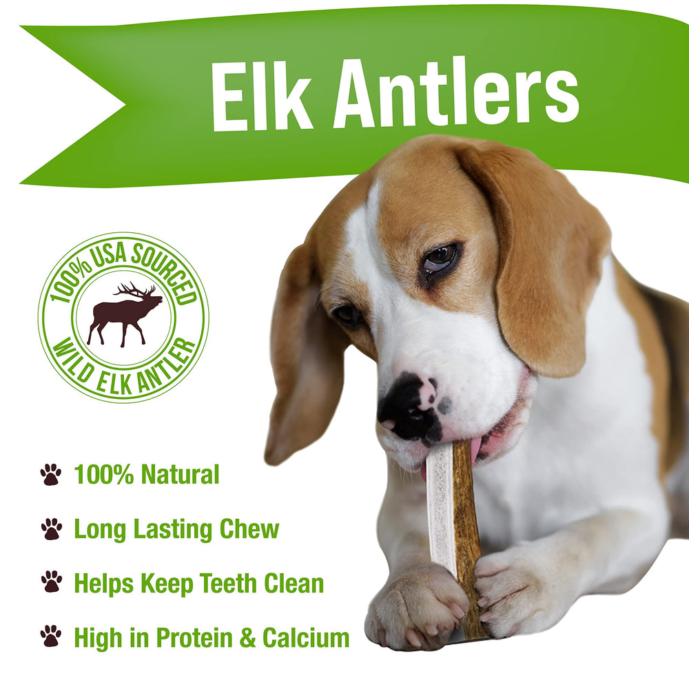 Buck Bone Organics elk antler medium dog chew close-up, durable chew for aggressive chewers.