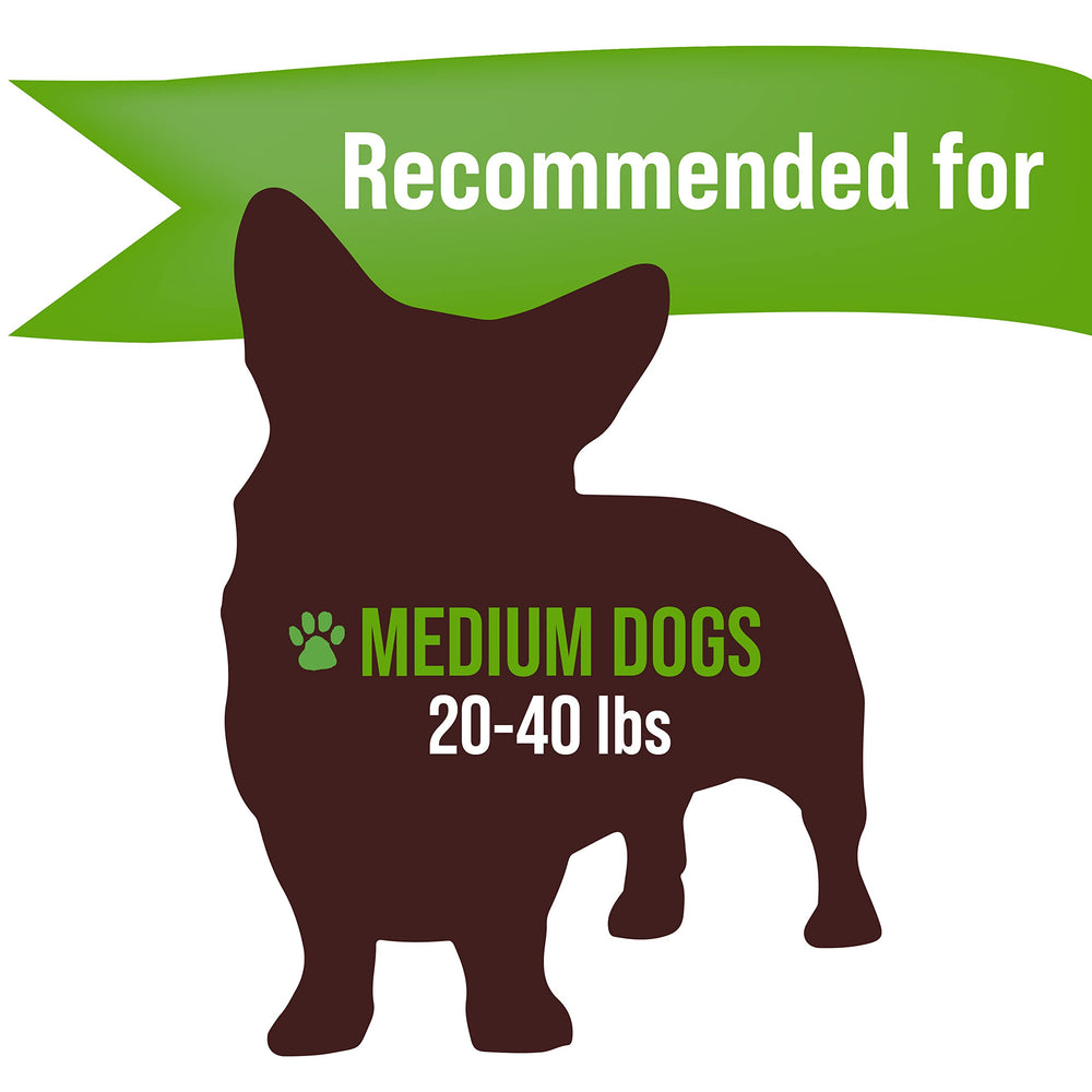 Buck Bone Organics elk antler medium dog chew in-use, supports dental health and enrichment.