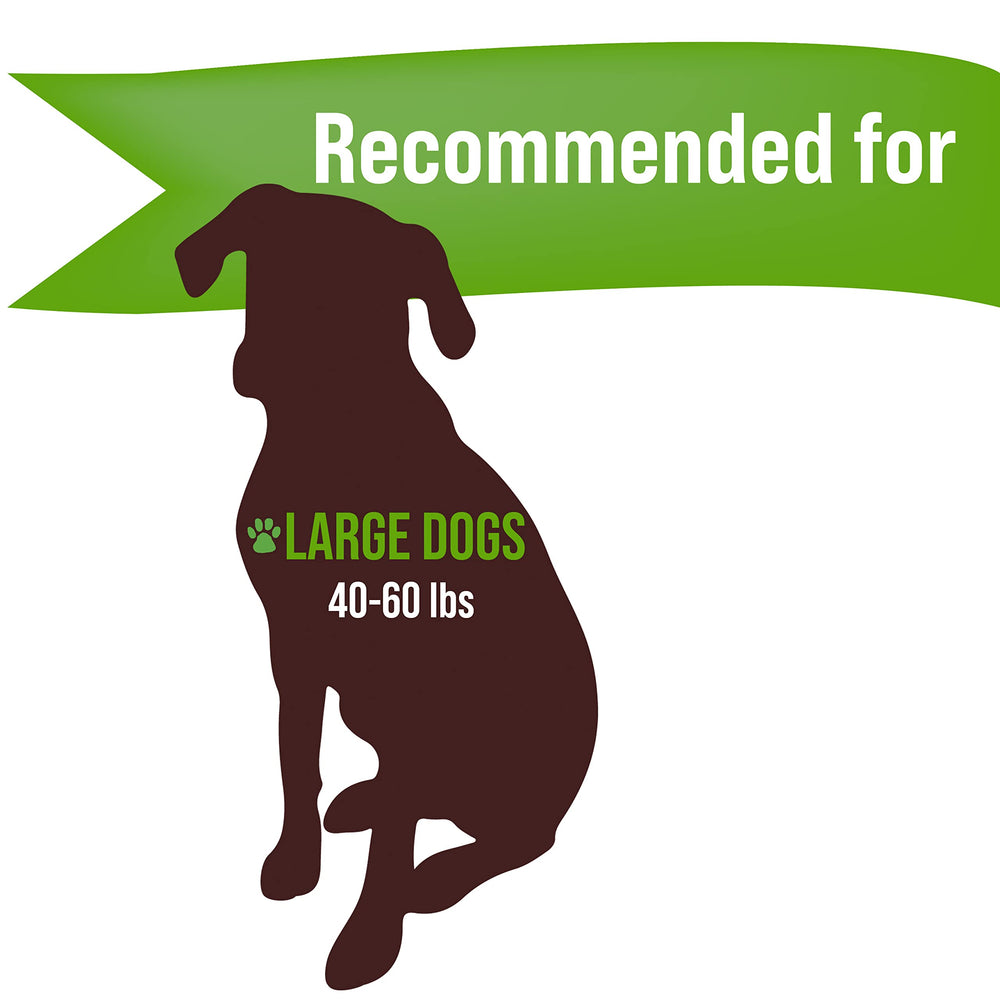 Buck Bone Organics USA-sourced elk antler pack highlights natural chew options for dogs