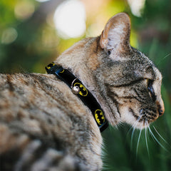 Buckle-Down breakaway cat collar closeup shows durable clip and stitching
