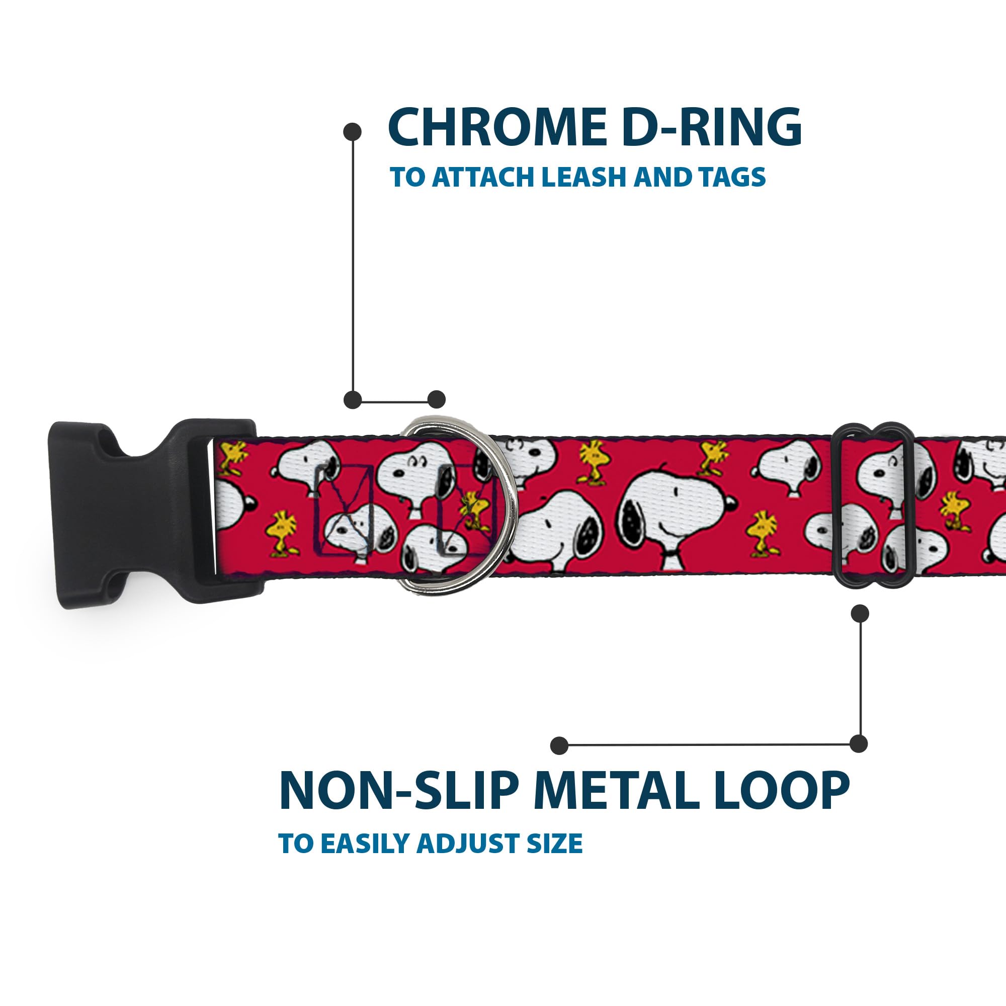 Buckle-Down D-ring durable-hardware collar stands up to daily play.
