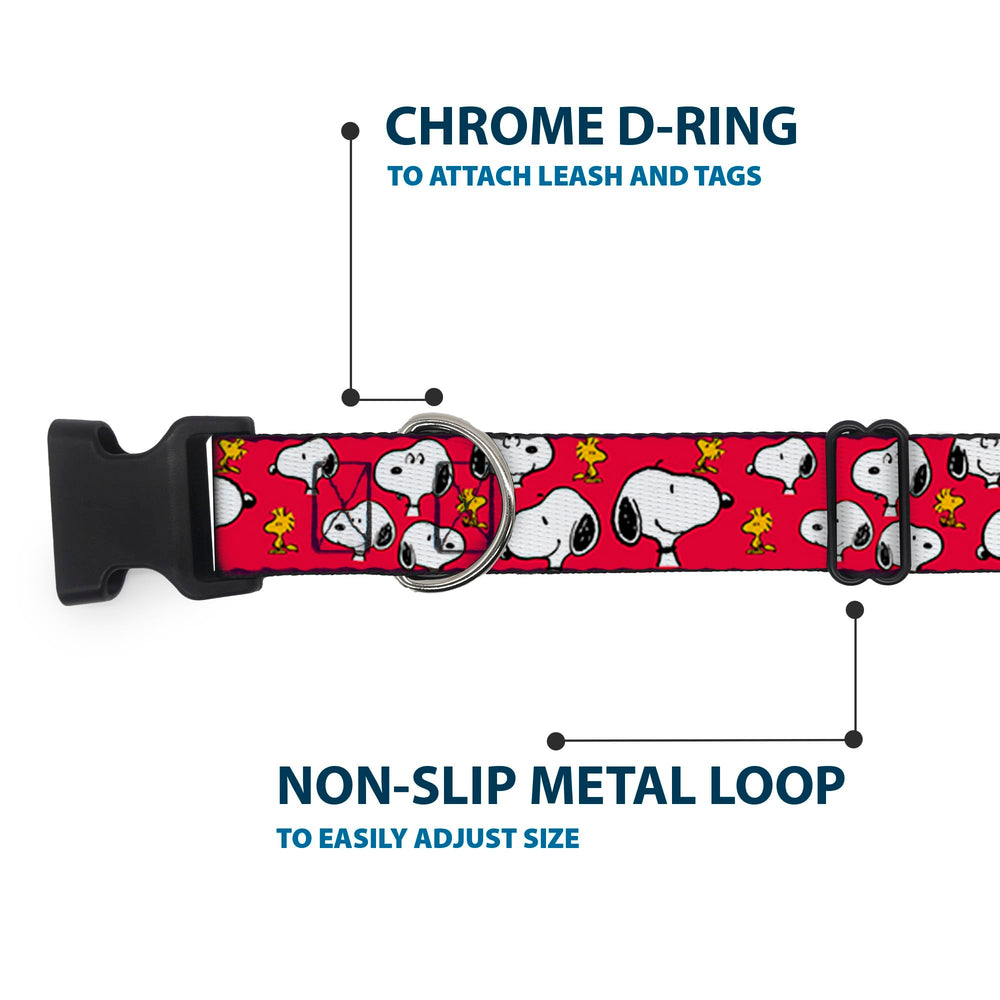 Buckle-Down D-ring durable-hardware collar stands up to daily play.