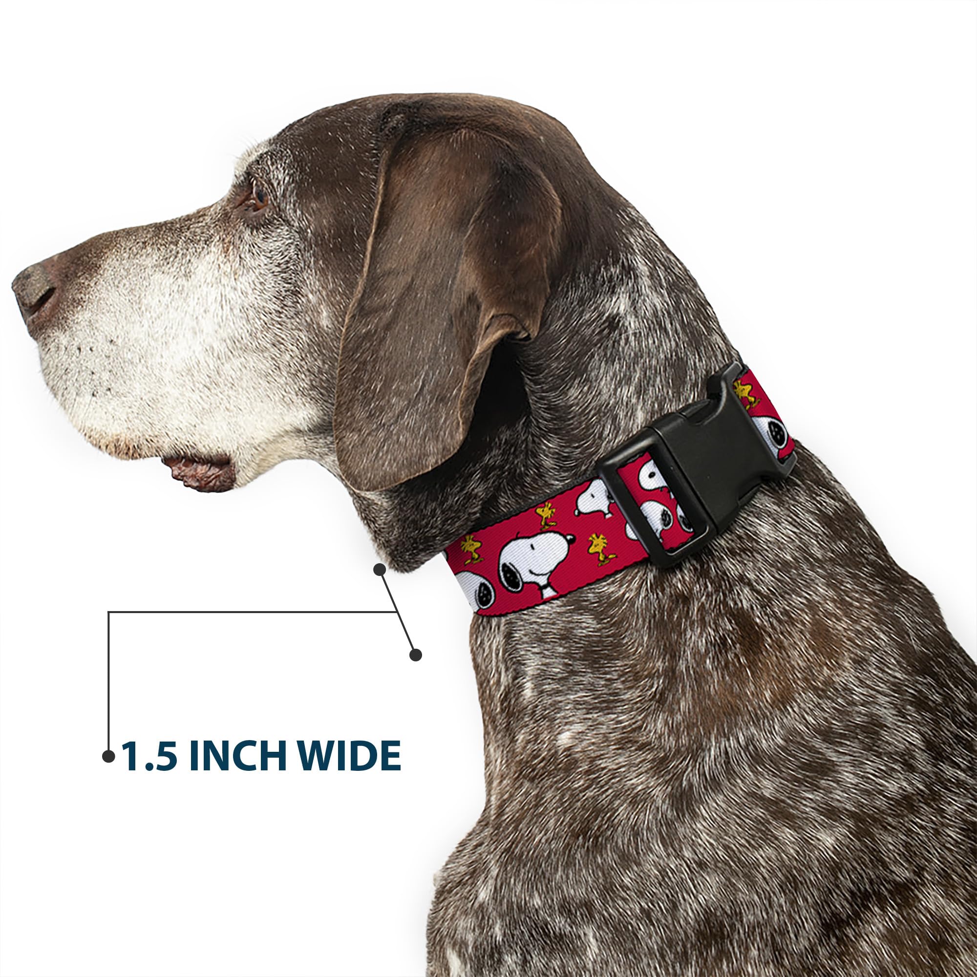 Buckle-Down matching-leads-peanuts-collar creates coordinated looks on walks.