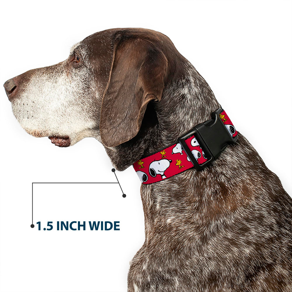 Buckle-Down matching-leads-peanuts-collar creates coordinated looks on walks.