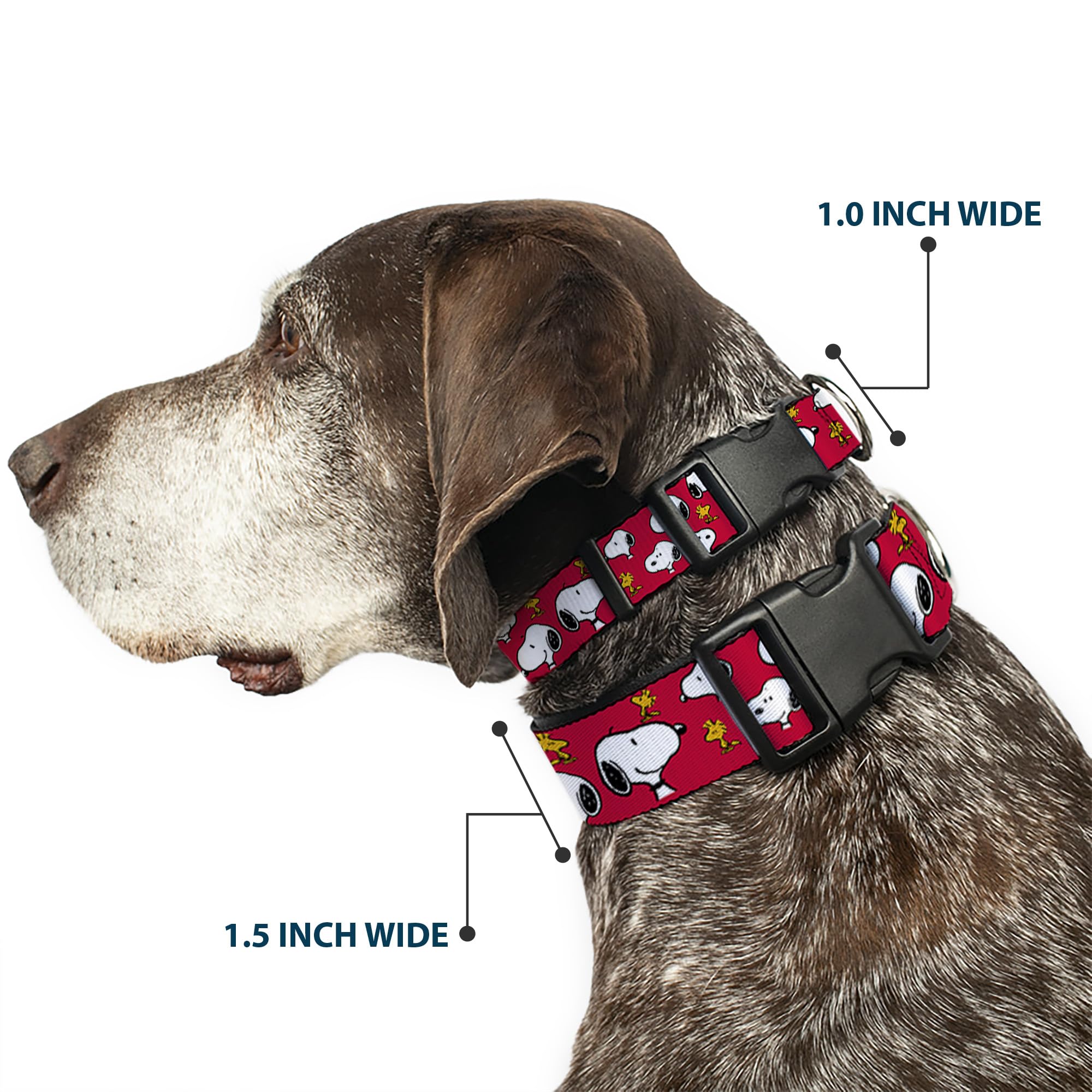 Buckle-Down plastic-buckle dog collar close-up shows sturdy buckle for secure adventures.