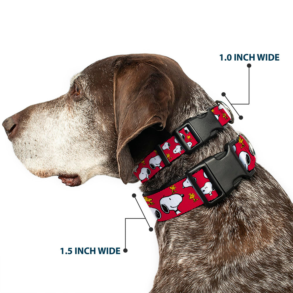 Buckle-Down plastic-buckle dog collar close-up shows sturdy buckle for secure adventures.