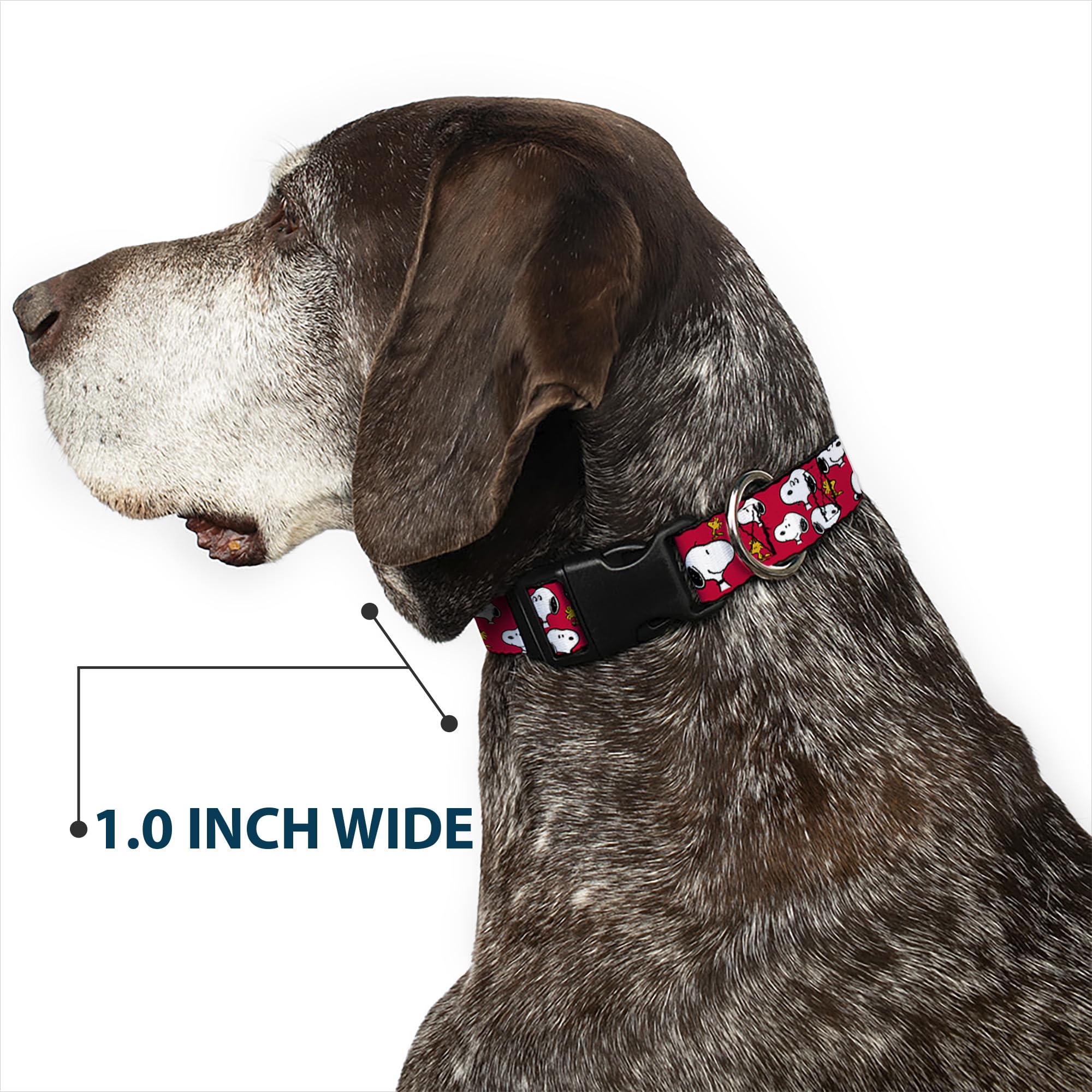 Buckle-Down USA-assembled Peanuts collar reflects reliable craftsmanship.