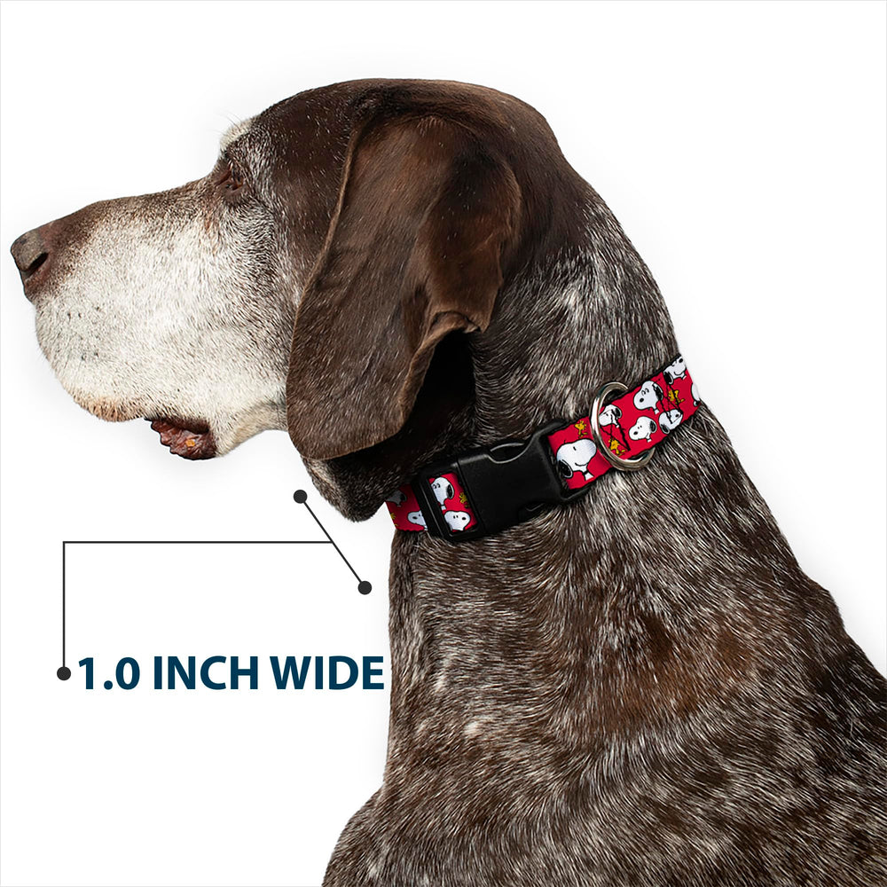 Buckle-Down USA-assembled Peanuts collar reflects reliable craftsmanship.
