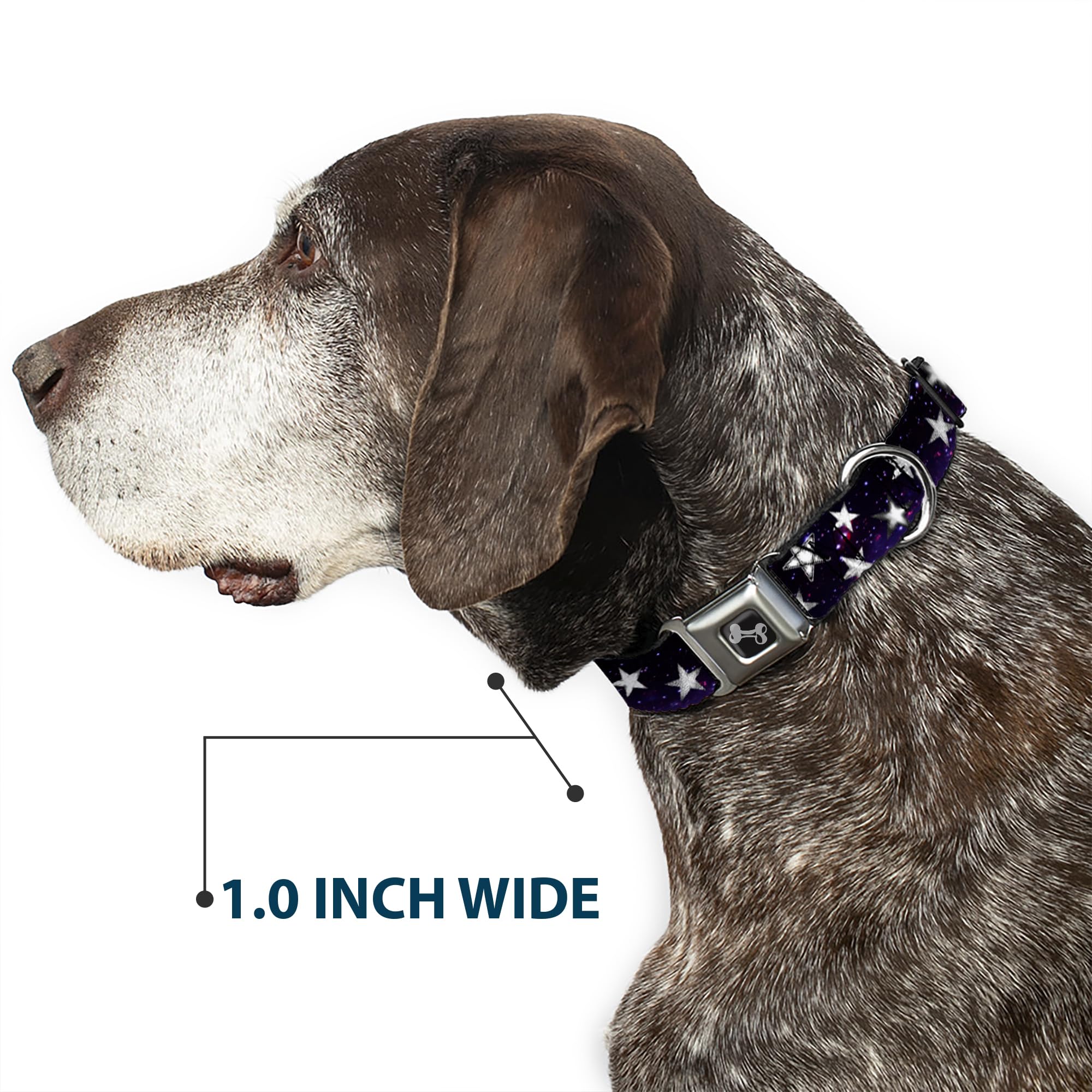 Buckle-Down Made in USA collar with durable polyester and steel components
