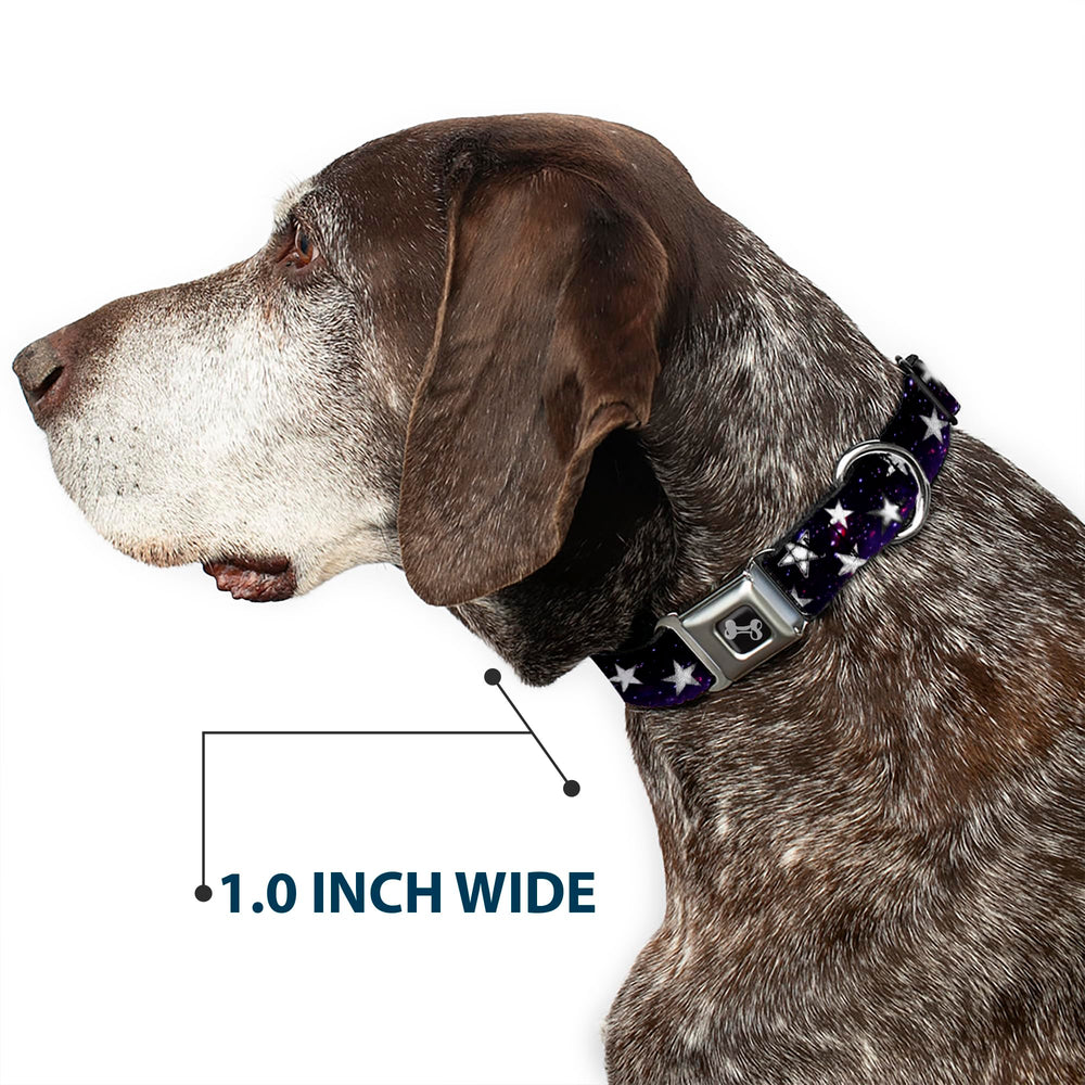 Buckle-Down Made in USA collar with durable polyester and steel components