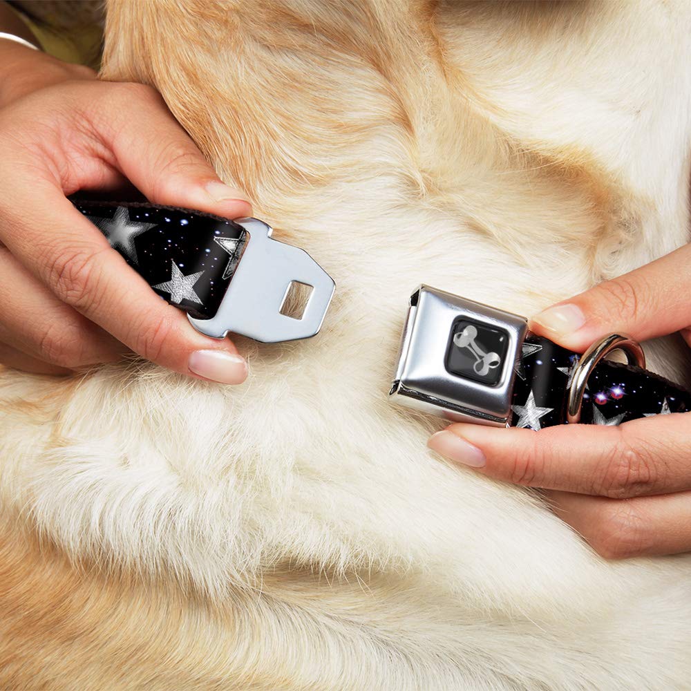 Buckle-Down dog collar combines durability and style for daily outings