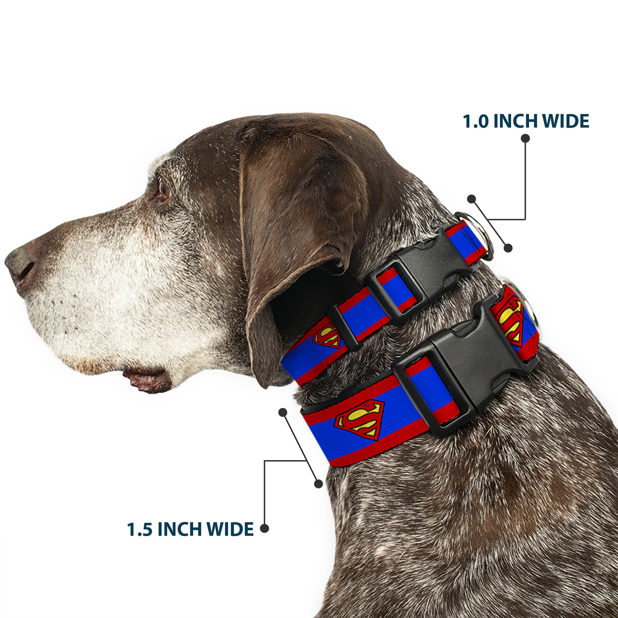 Buckle-Down dog collar plastic buckle close-up shows secure, bold hardware for confident handling.