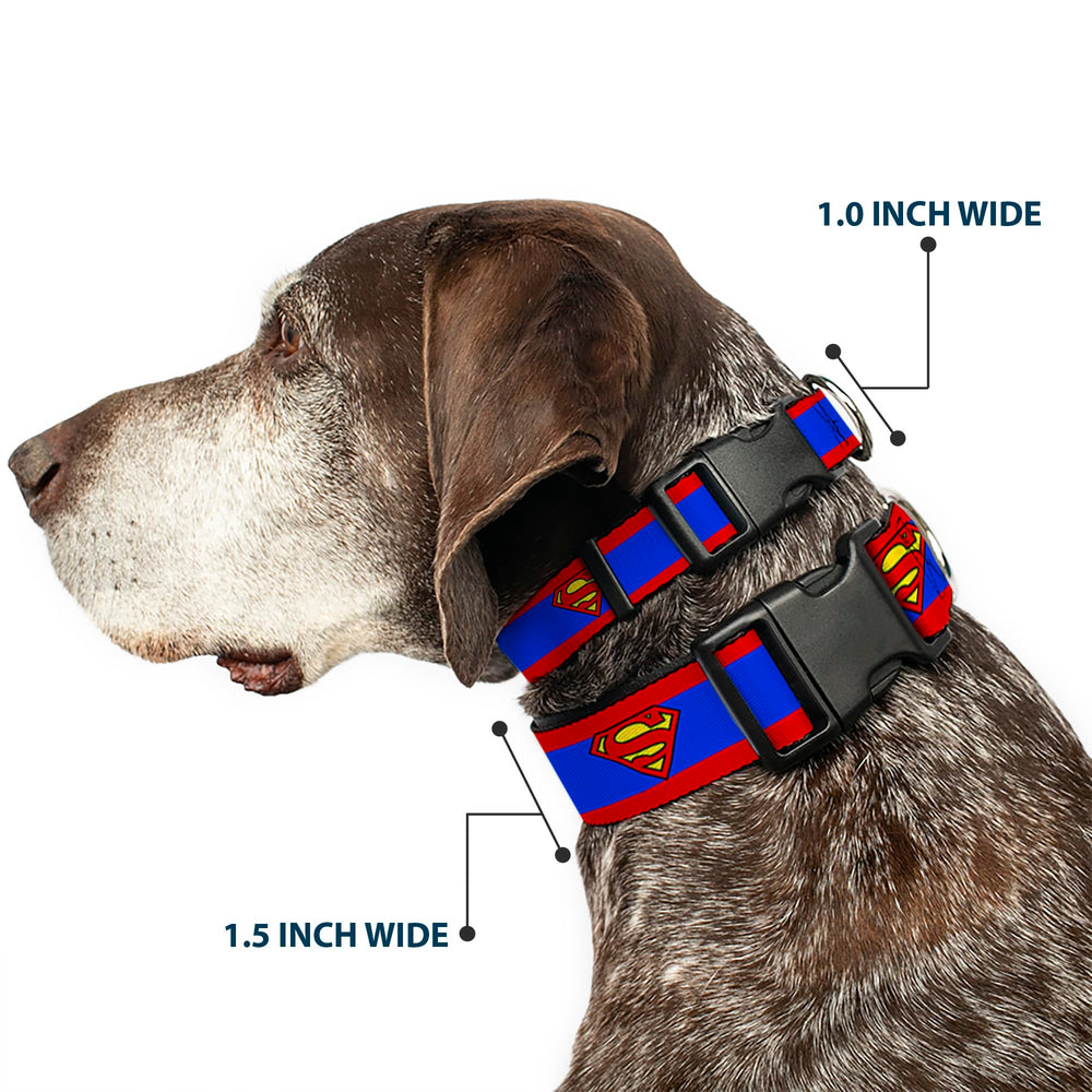 Buckle-Down dog collar plastic buckle close-up shows secure, bold hardware for confident handling.