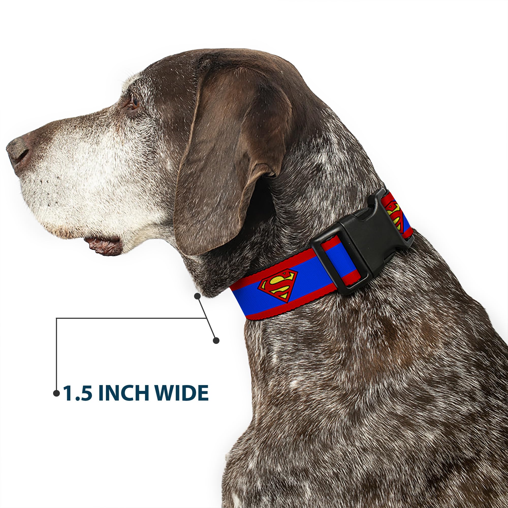Buckle-Down dog collar licensed DC Comics product, officially branded.
