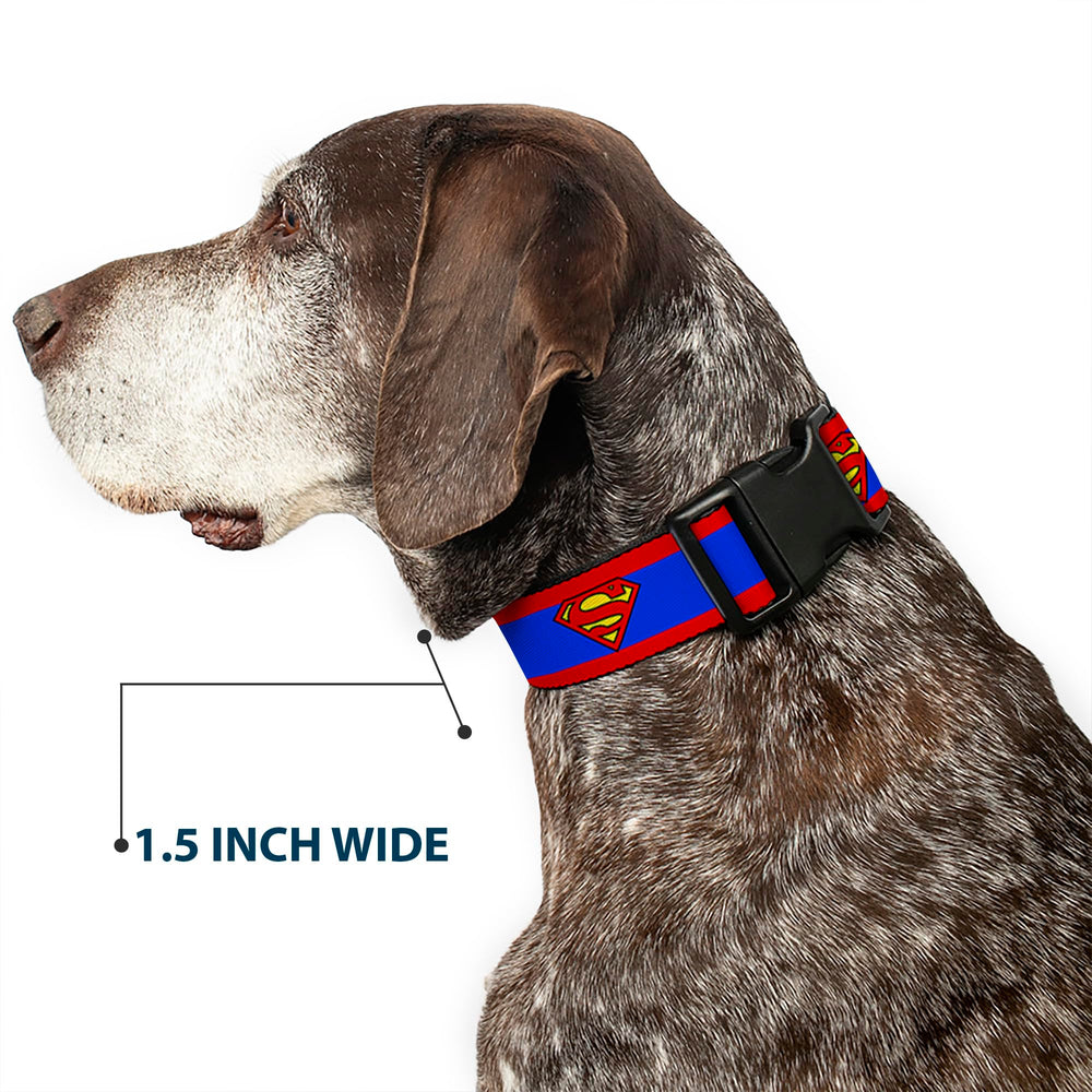 Buckle-Down dog collar licensed DC Comics product, officially branded.