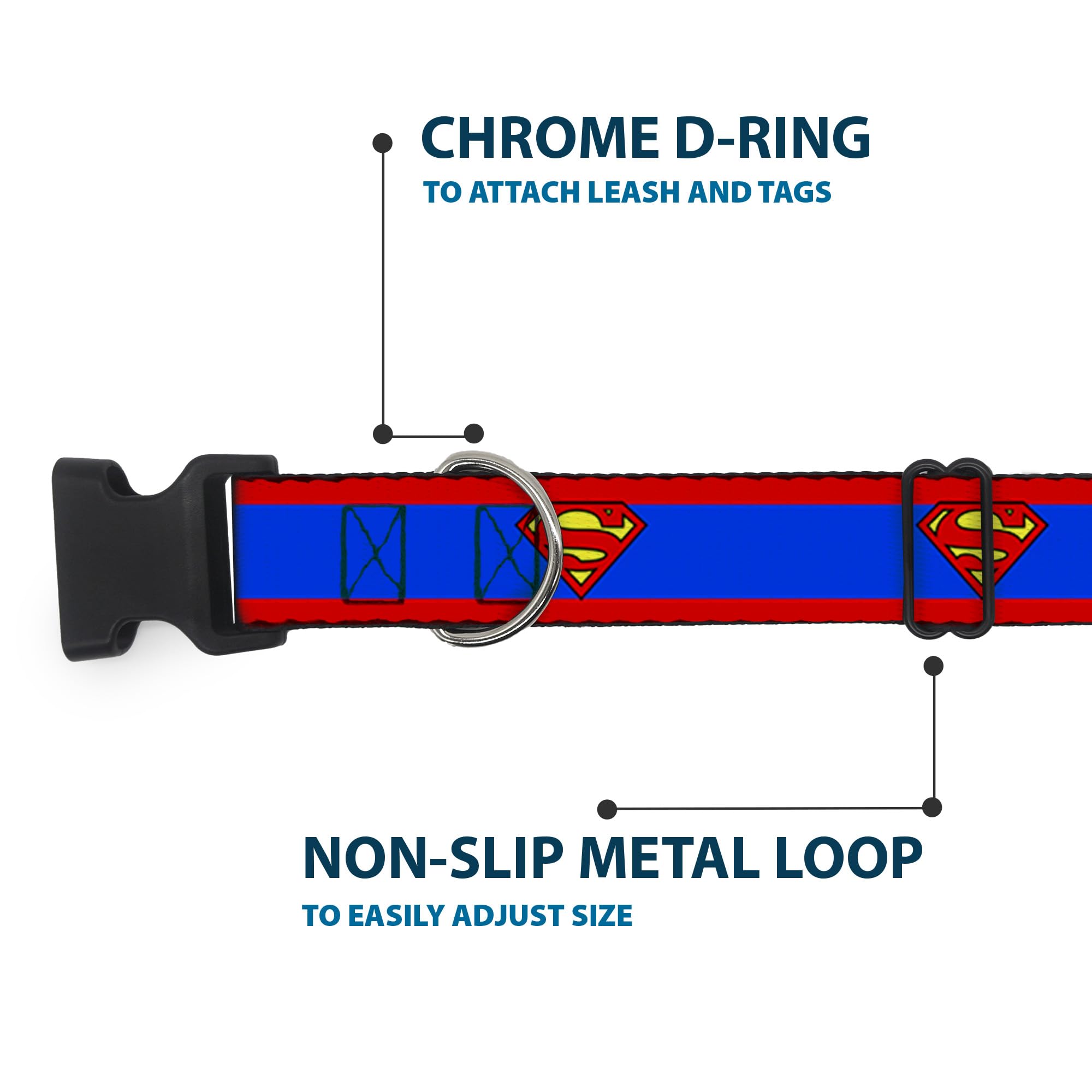 Buckle-Down dog collar side profile shows reinforced construction and color-pop design.