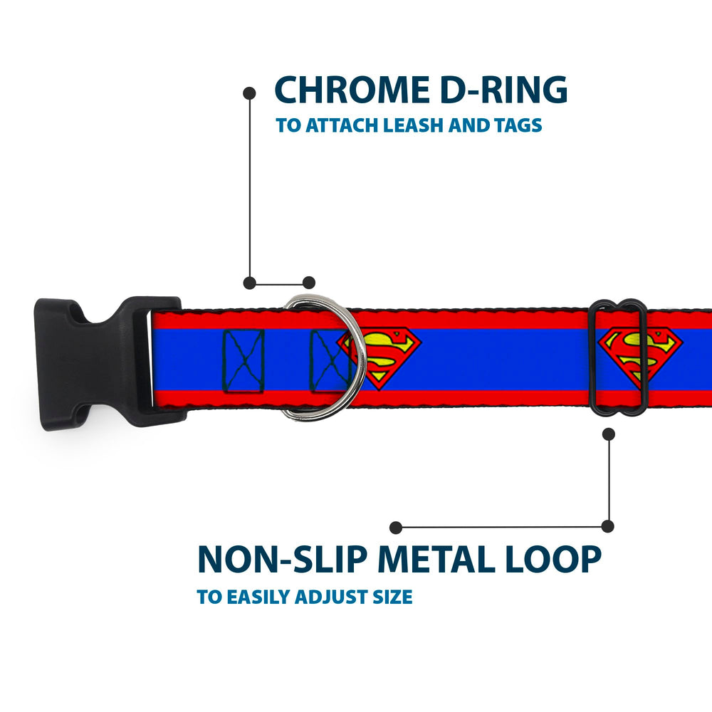 Buckle-Down dog collar side profile shows reinforced construction and color-pop design.