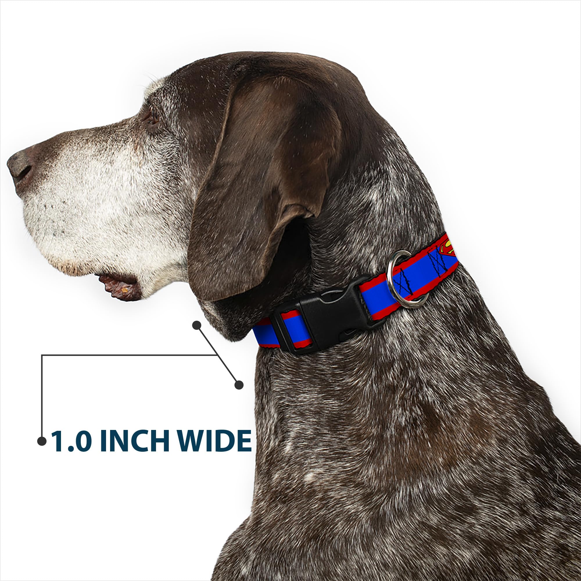 Buckle-Down dog collar size range 9-15 inches ensures adjustable fit.