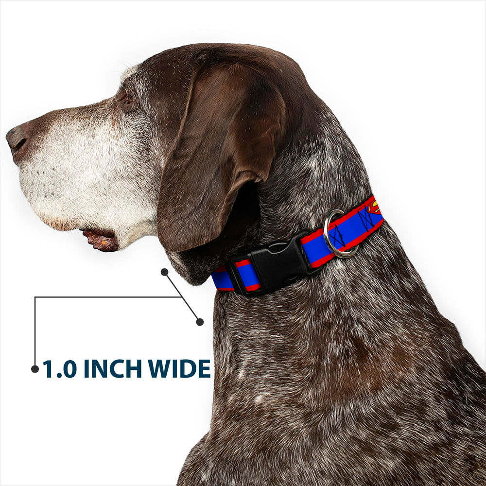 Buckle-Down dog collar size range 9-15 inches ensures adjustable fit.