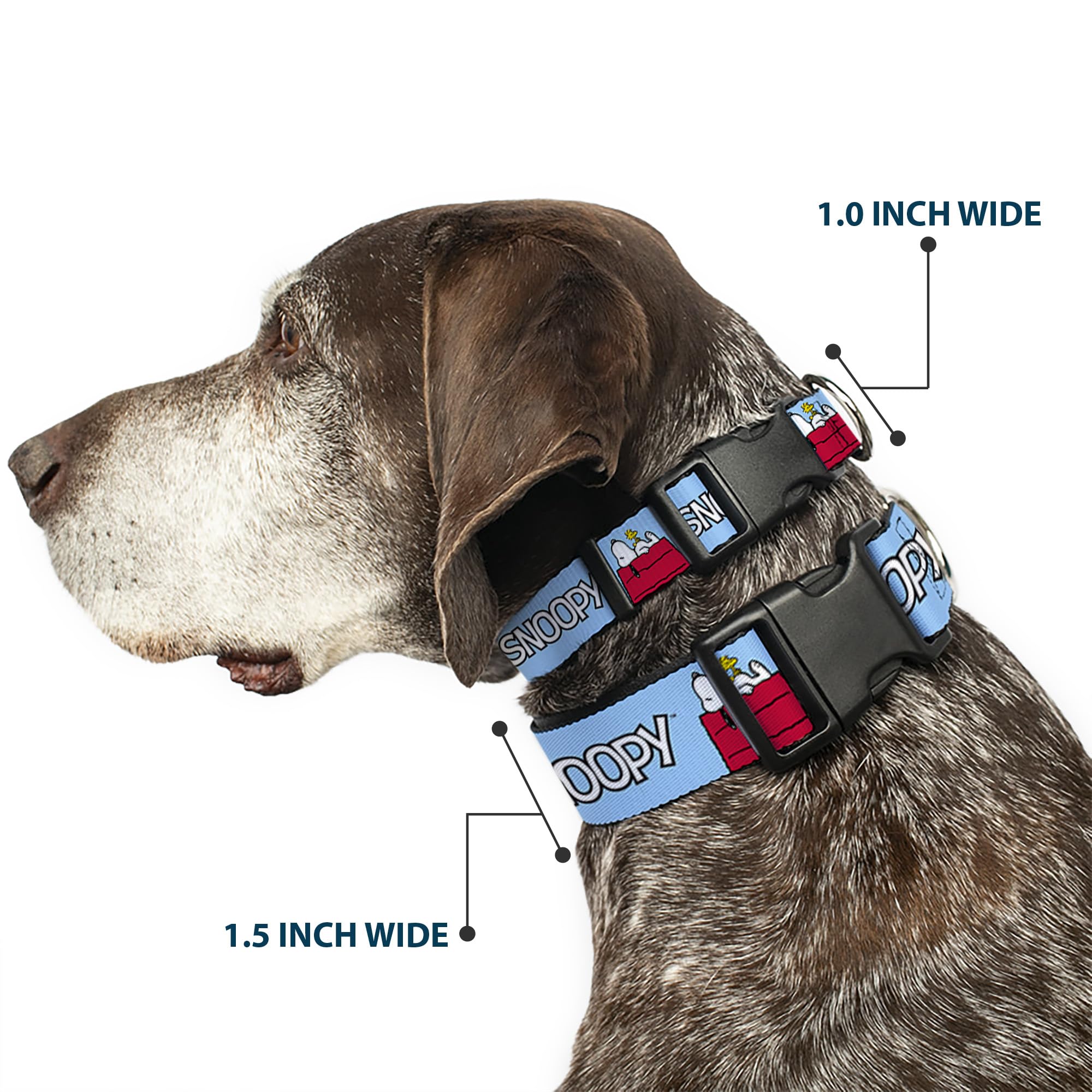 Buckle-Down Peanuts collar closeup shows tough plastic buckle for durability.