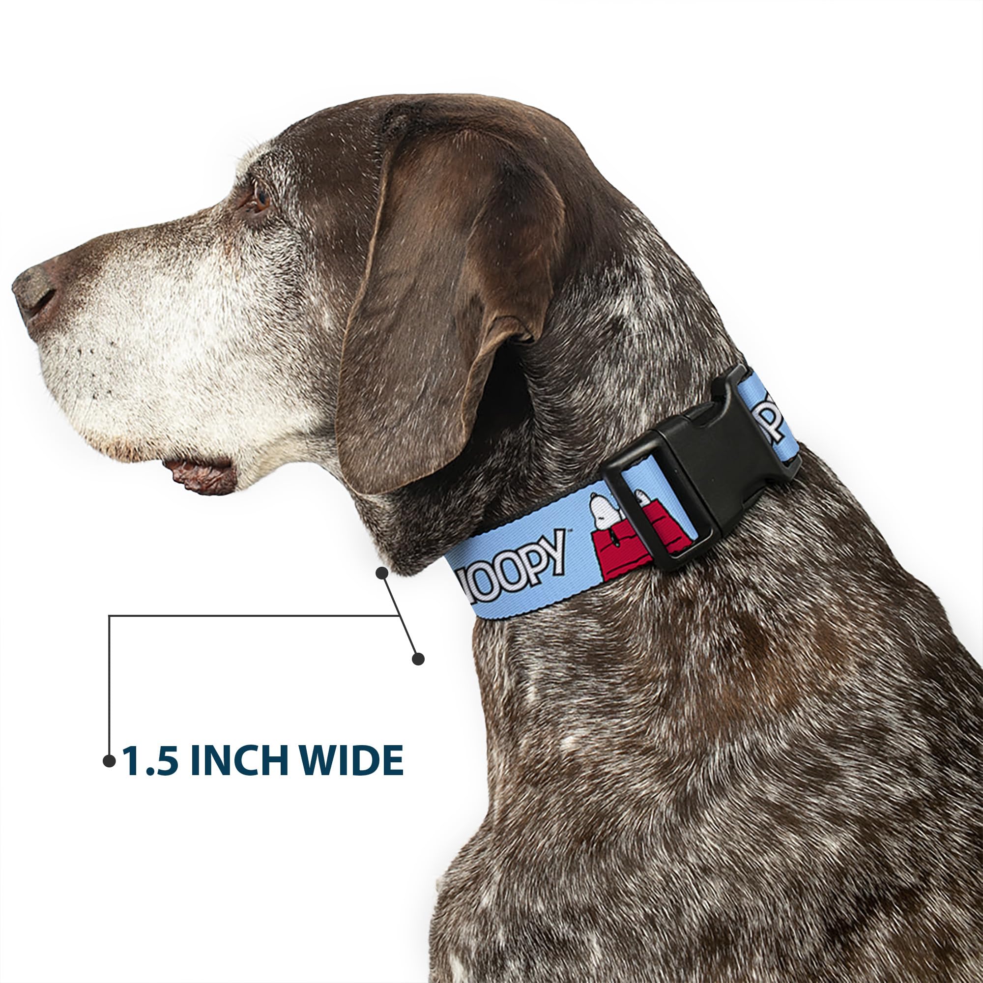 Buckledown Peanuts matching leash shown for cohesive look