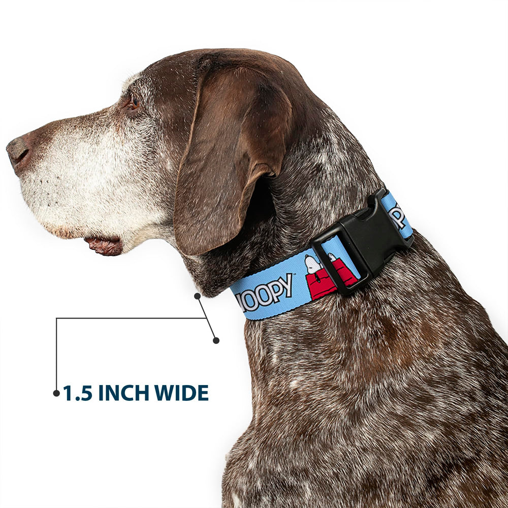 Buckle-Down Peanuts matching-leads image showing complete accessory set.