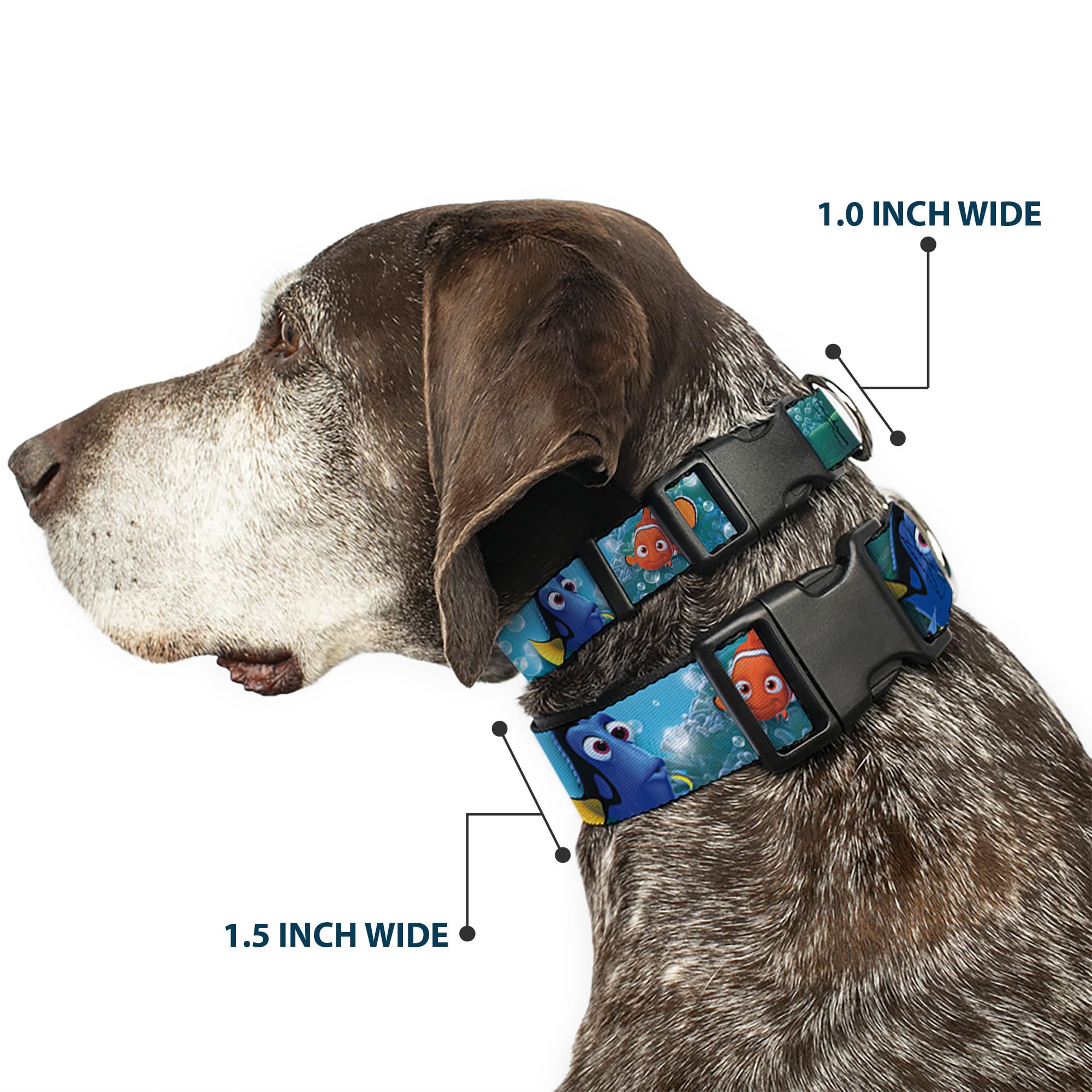 Nemo & Dory licensed design on Buckle-Down collar for playful style.