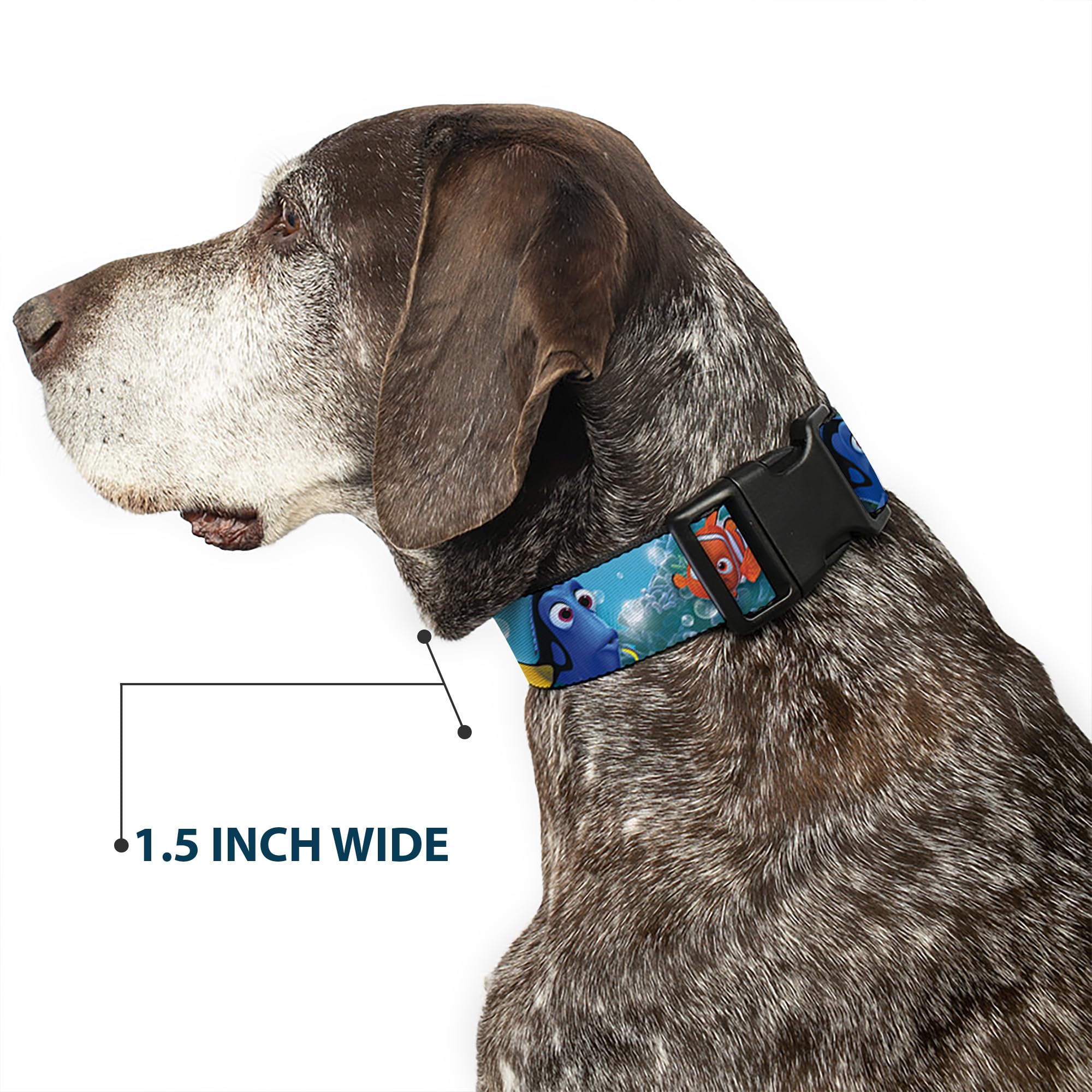1.5-inch Buckle-Down collar width provides sturdy support for large dogs.