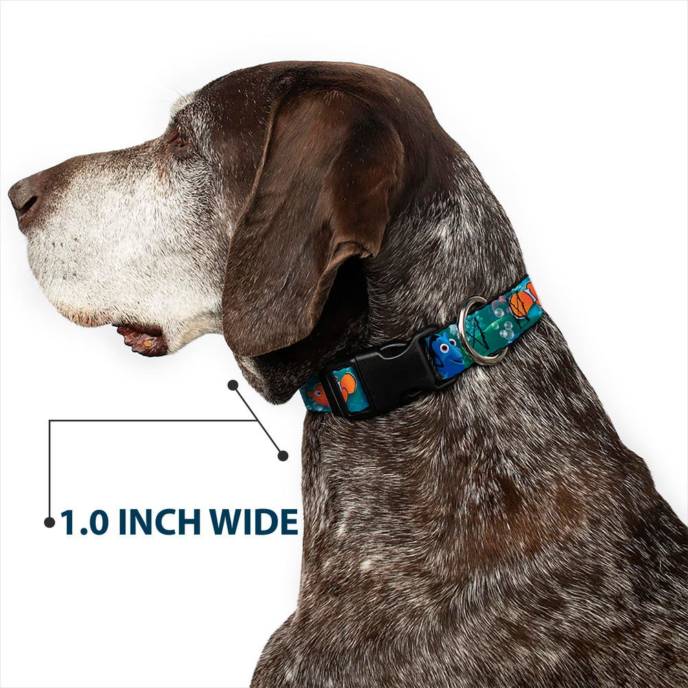 Colorful Buckle-Down collar print stays vibrant through seasons.