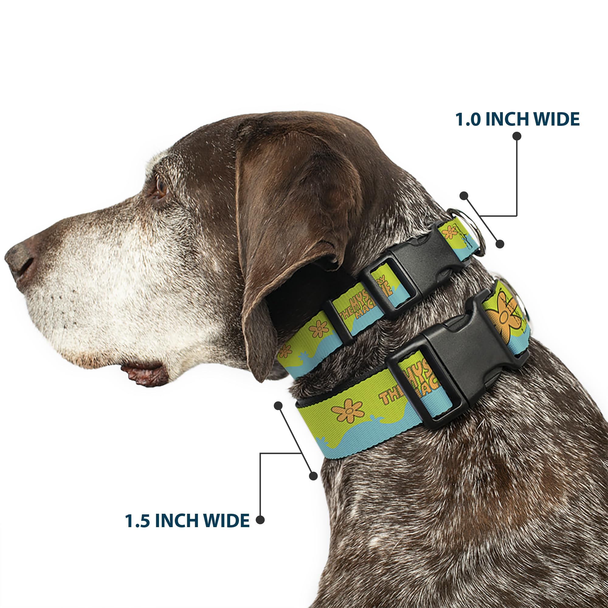 Buckle-Down Scooby Doo collar closeup highlights secure plastic buckle for quick on/off.