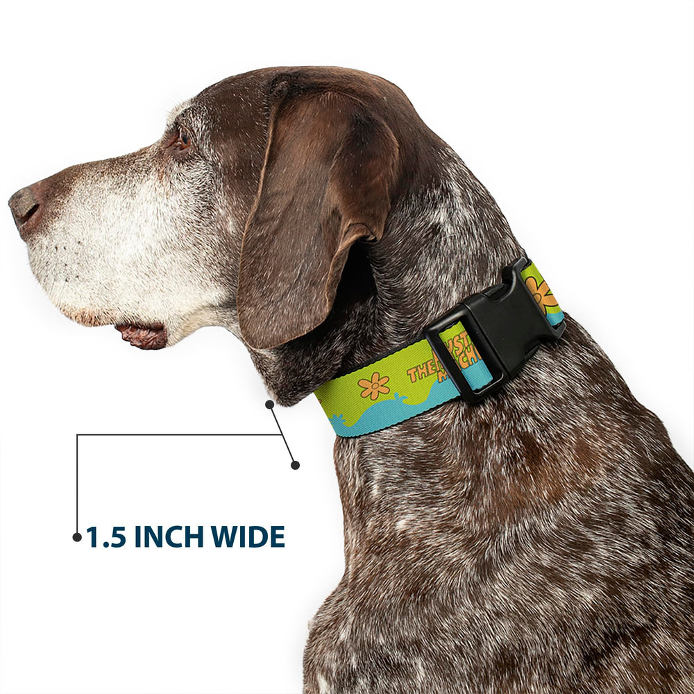 Buckle-Down Scooby Doo collar pairs with matching leashes for coordinated looks.