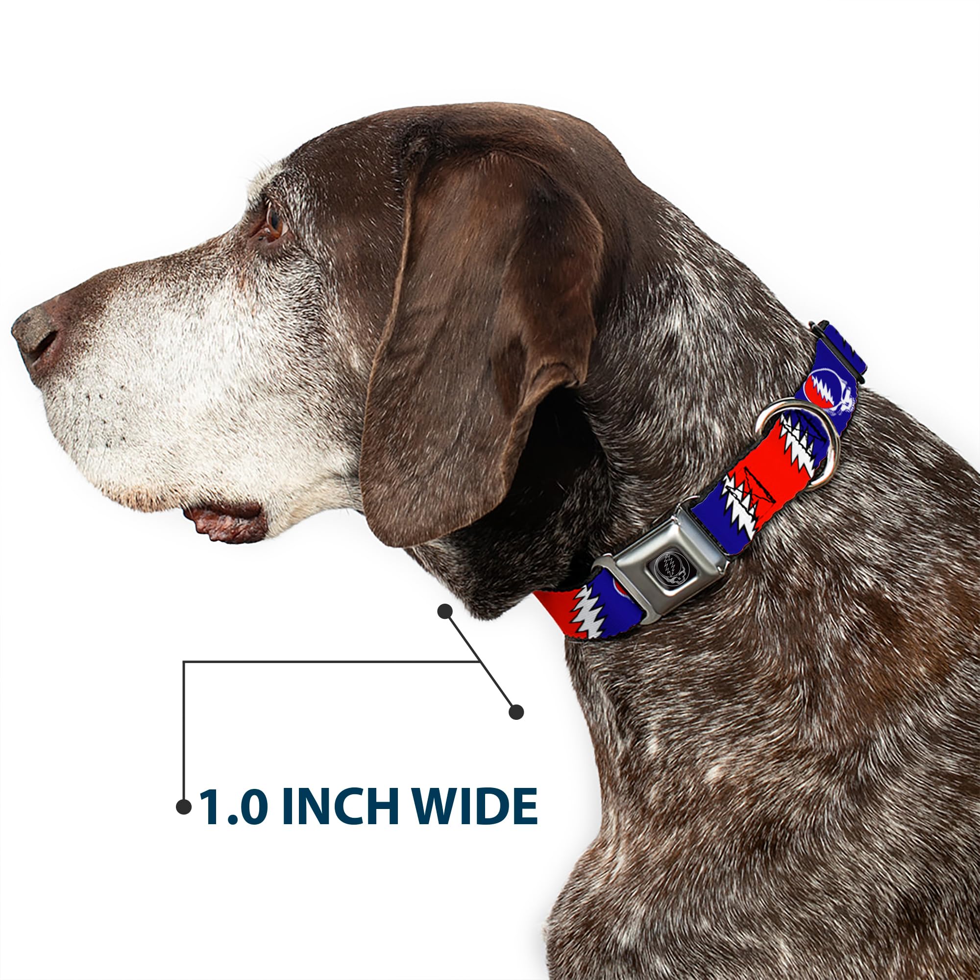 Buckledown SeatBelt Dog Collar material closeup emphasizes high-density polyester durability for everyday adventures.