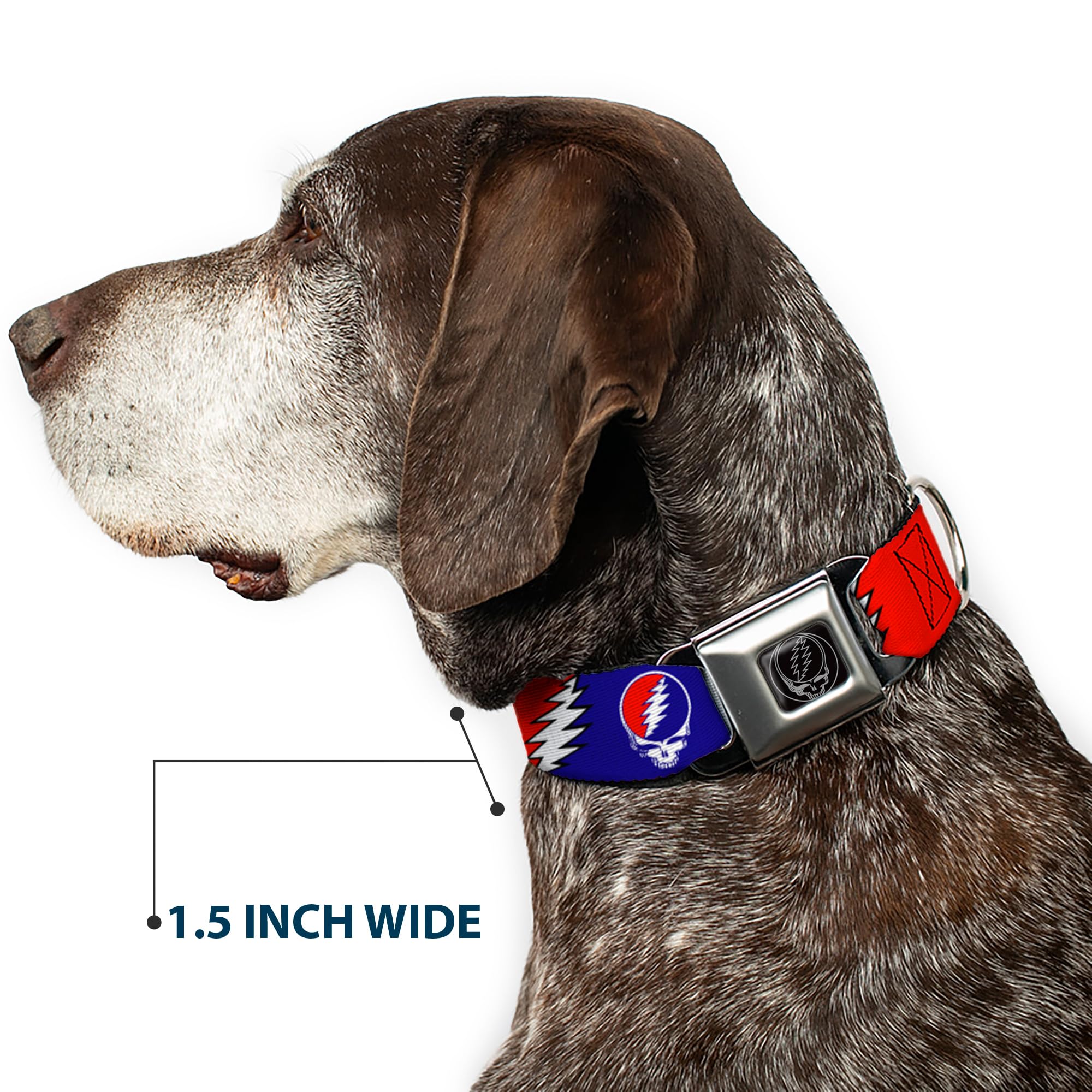 Buckledown SeatBelt Dog Collar packaging highlights Made in USA quality.
