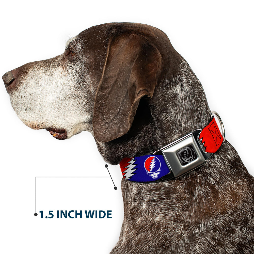 Buckledown SeatBelt Dog Collar packaging highlights Made in USA quality.