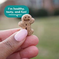 Buddy Biscuits Boosters glucosamine and chondroitin close-up ingredients.