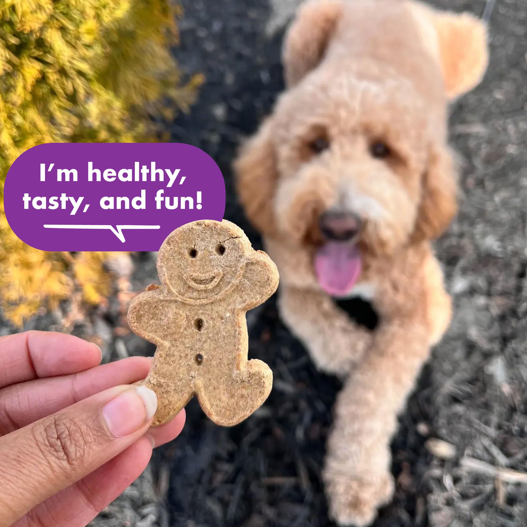 Buddy Biscuits grilled beef treats are great rewards during training sessions.