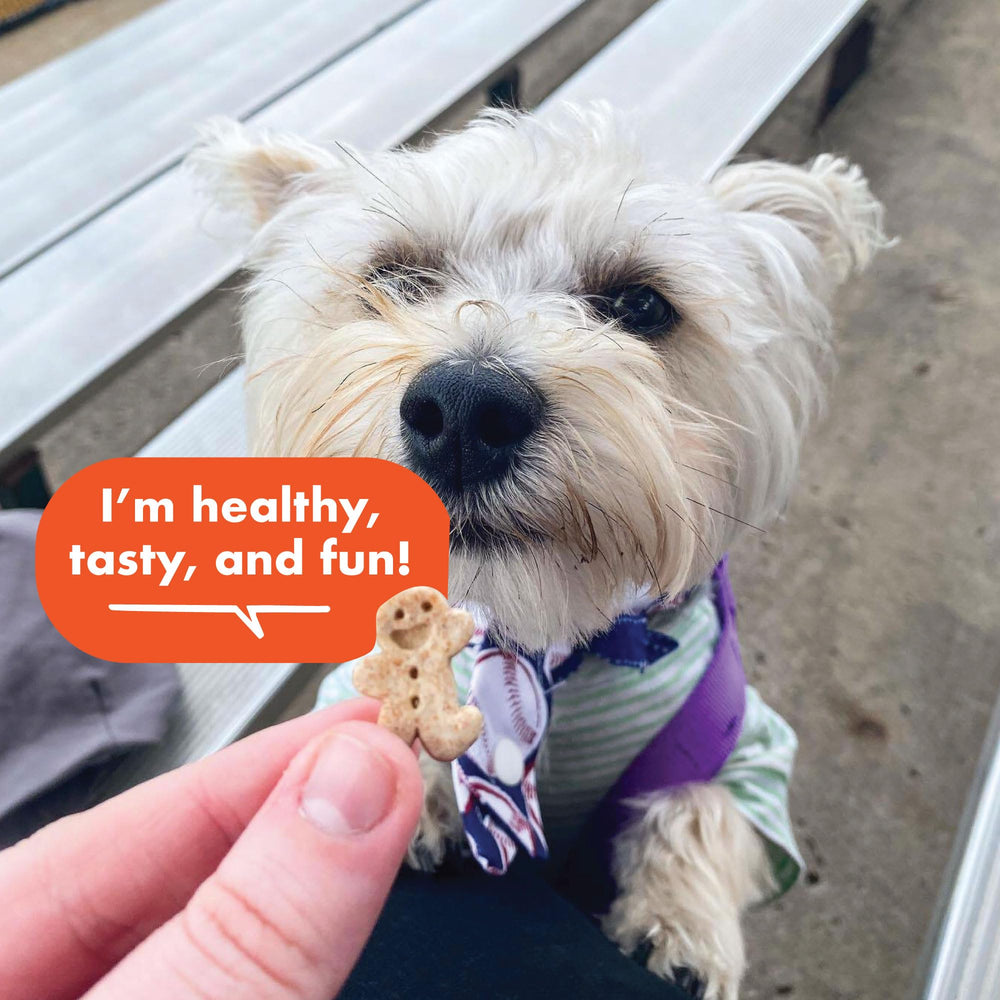Buddy Biscuits Simple-5-Ingredients shot emphasizes clean, pronounceable recipe.