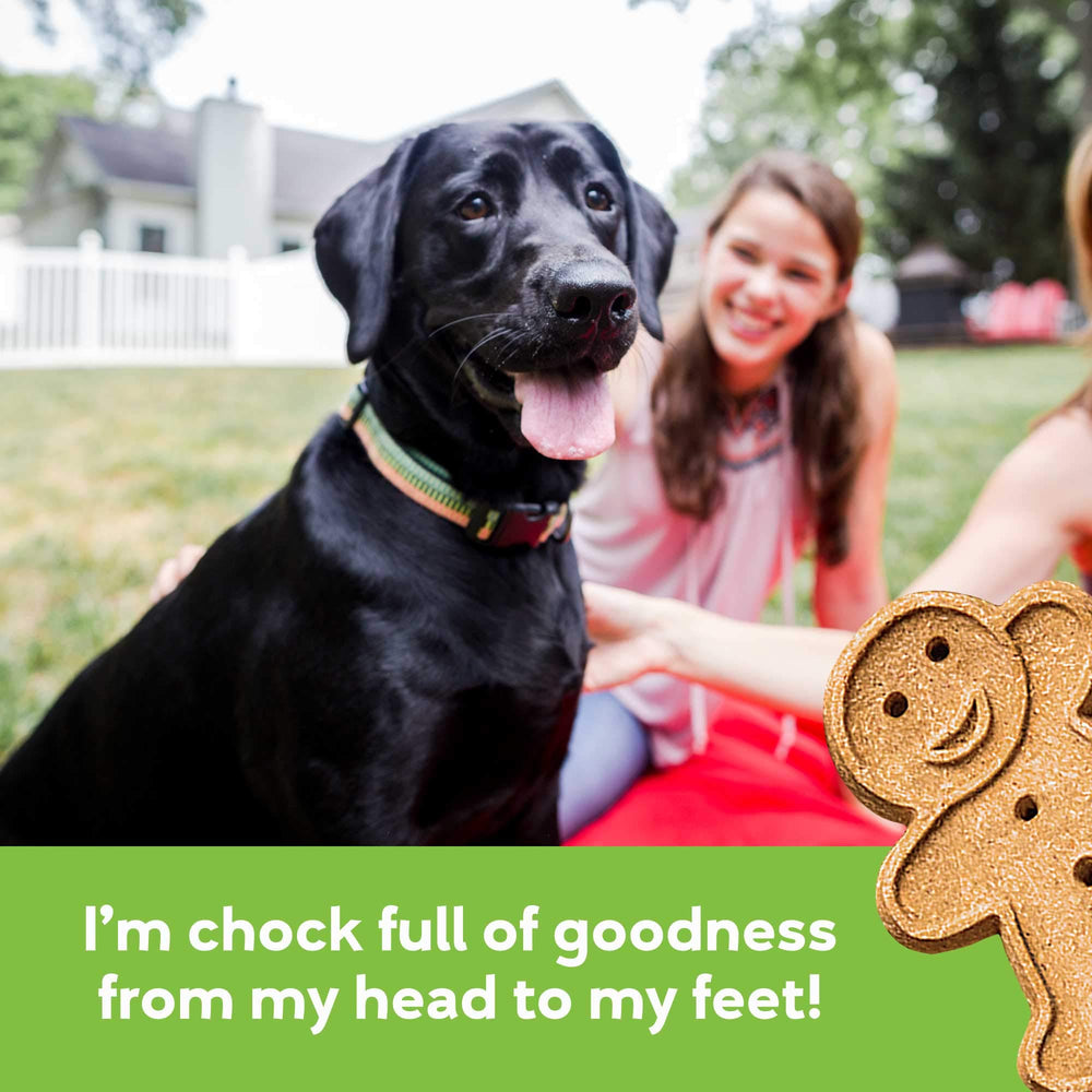 Buddy Biscuits training reward soft chew image, perfect for training moments.