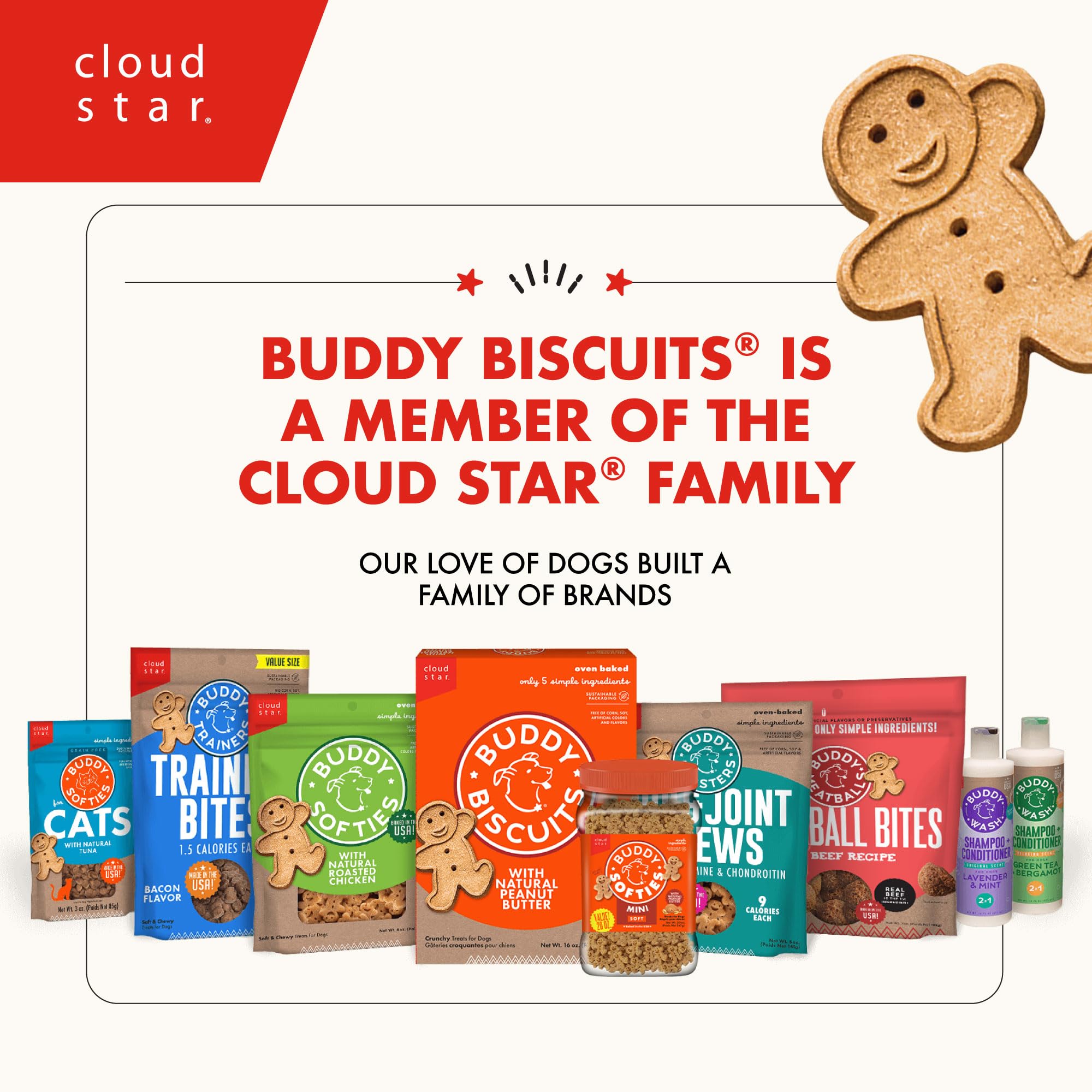 Close-up of bite-sized biscuits ideal for small-dog snacks.