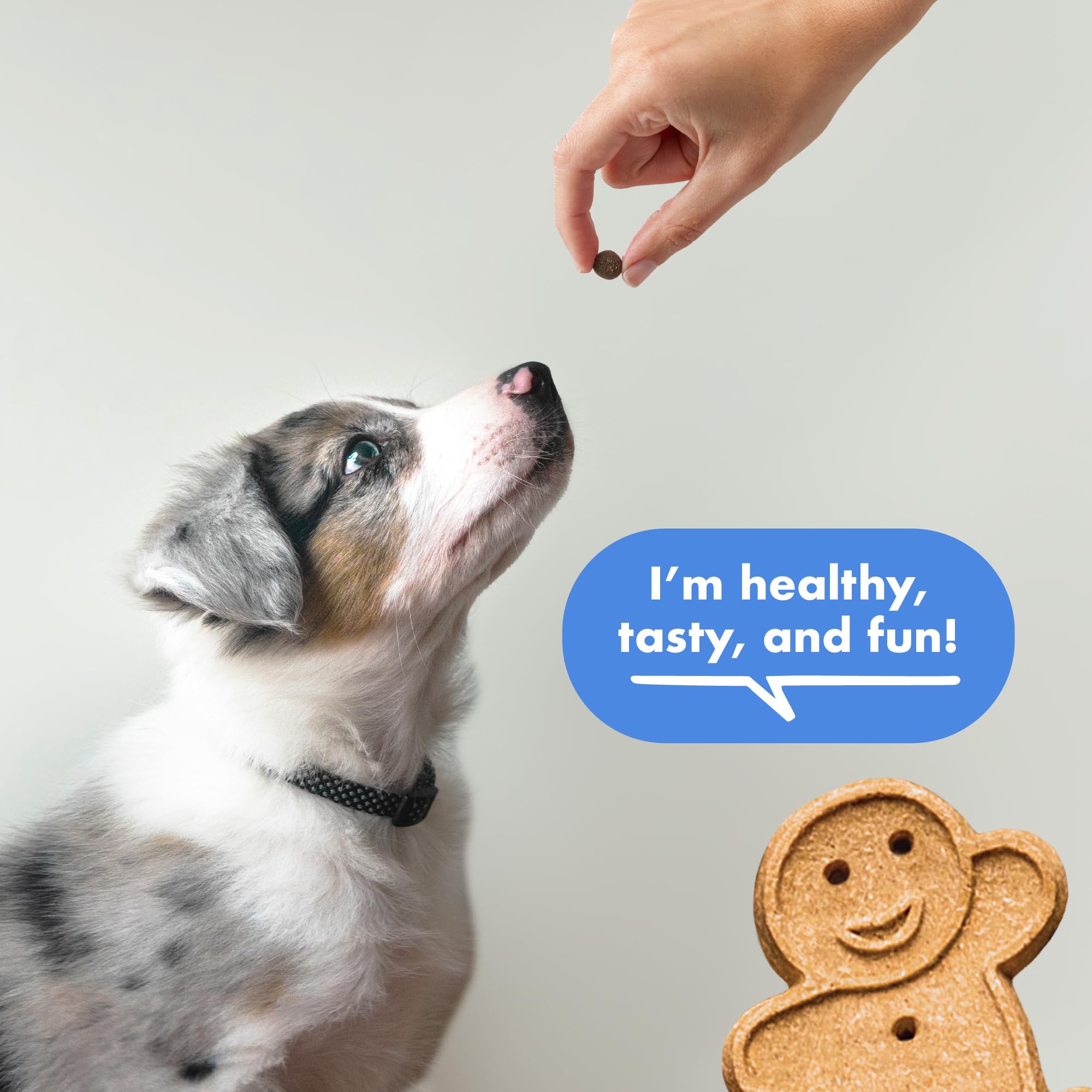 Buddy Biscuits Trainers 500 treats per bag ideal for daily routines
