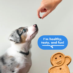 Buddy Biscuits Trainers 500 treats per bag ideal for daily routines
