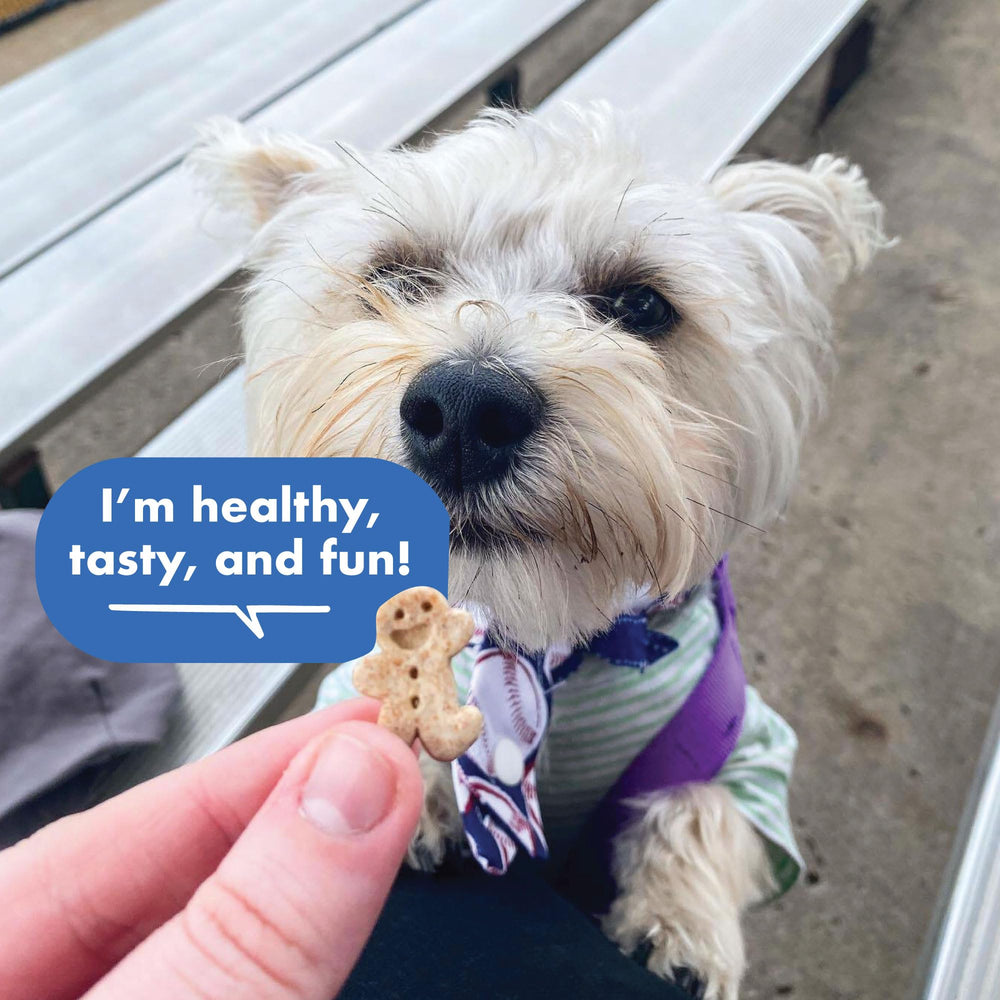 USA-made oven-baked badge shown on Buddy Biscuits Teeny Treats packaging.