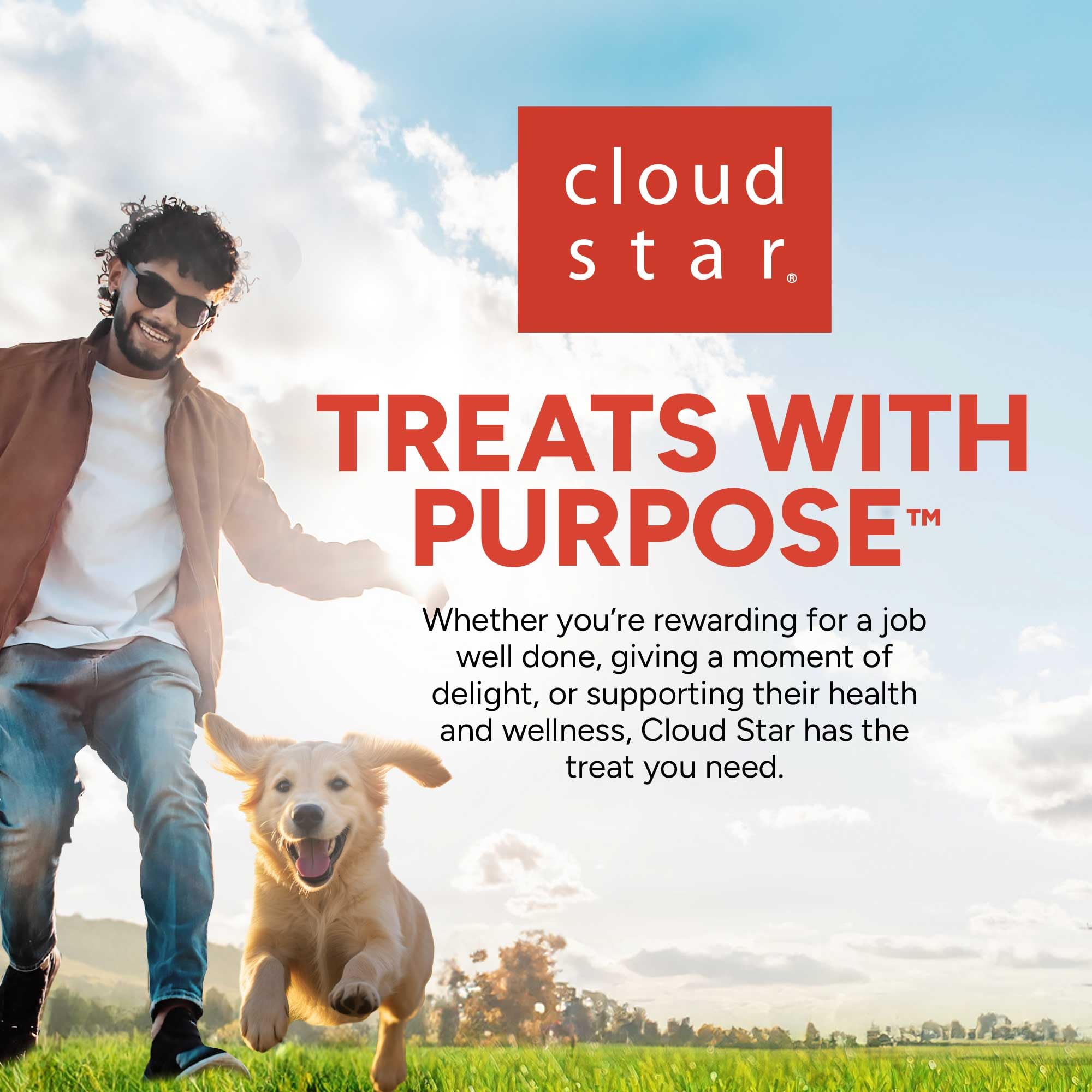 Buddy Biscuits whole-grain image suggests wholesome crunch for playtime.