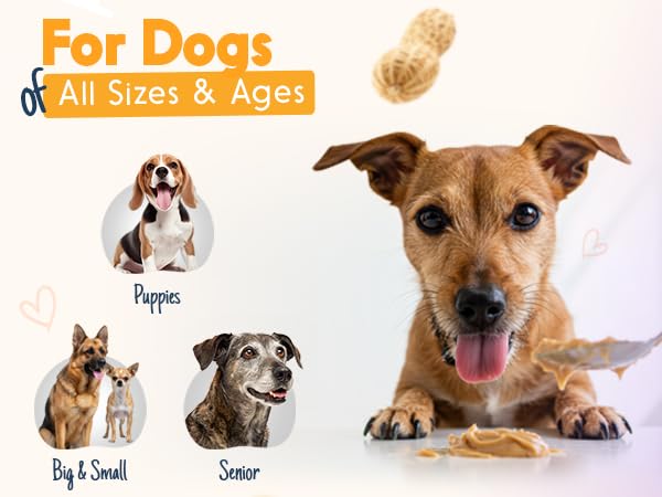 Buddy Budder natural peanut butter for dogs closeup with wholesome ingredients.