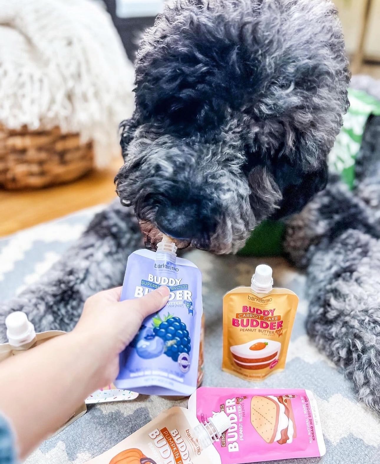 Buddy Budder pumpkin-pup-squeeze-pack-travel-ready: perfect for adventures with your dog.