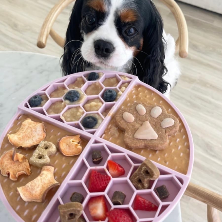 Buddy Budder refrigerator storage emphasizes thickening when chilled for easier toy stuffing.