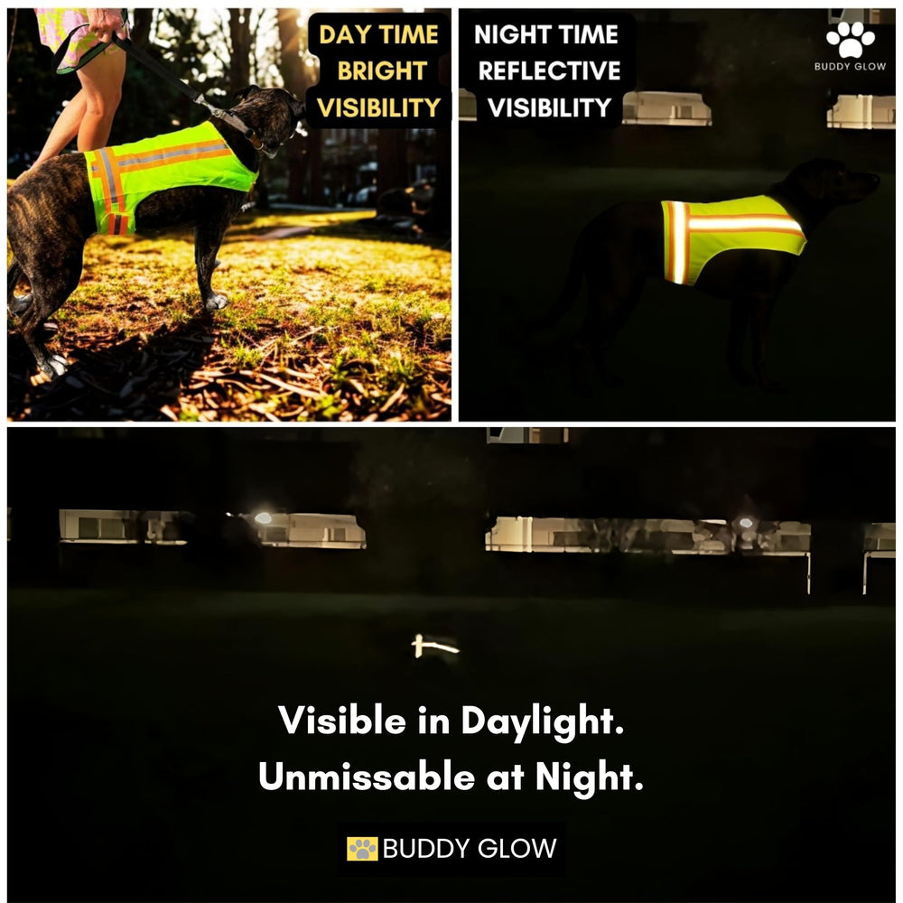 Buddy Glow adjustable Velcro straps provide a snug, growing-with-dog fit